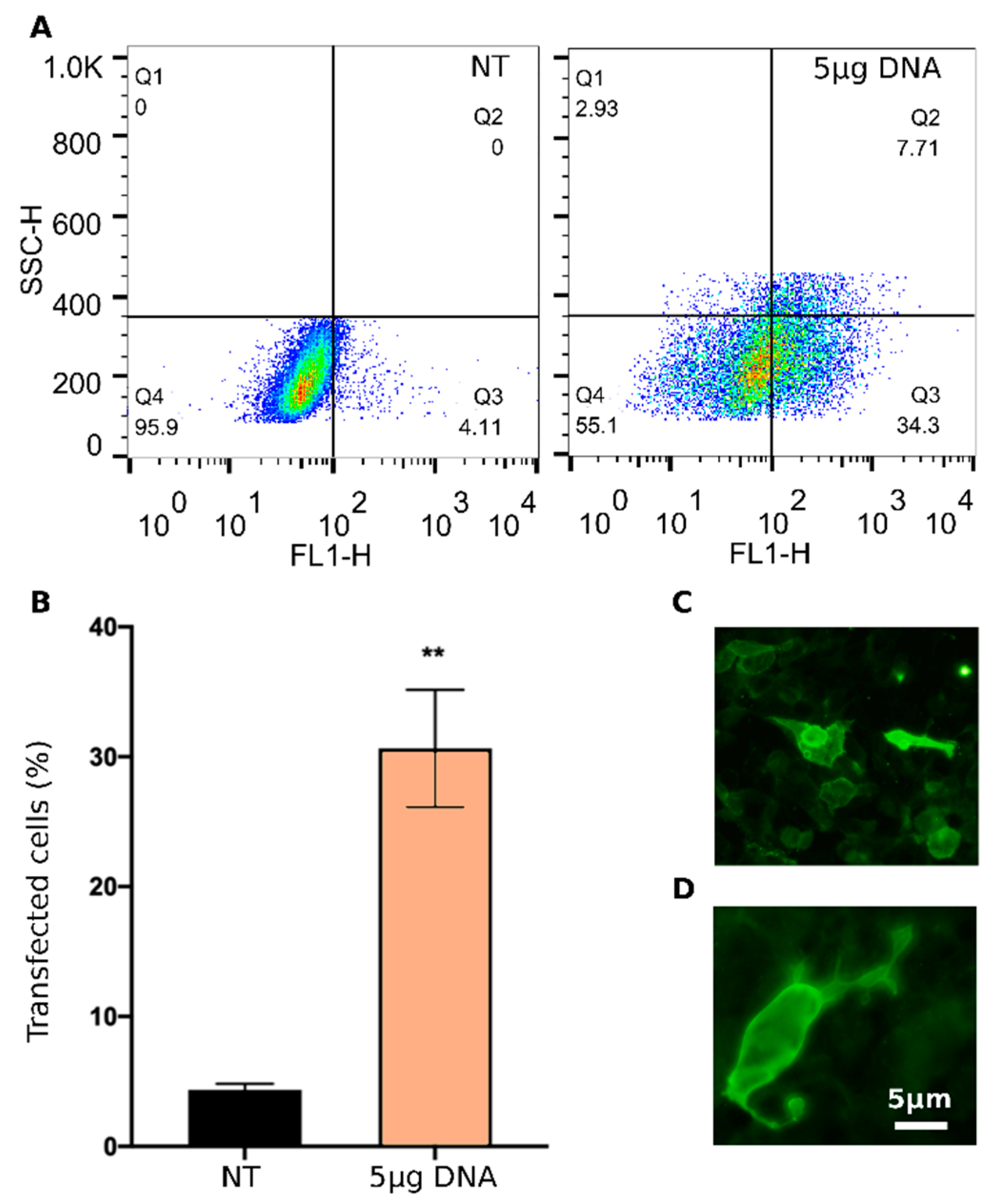 Pharmaceutics 14 01698 g006 550