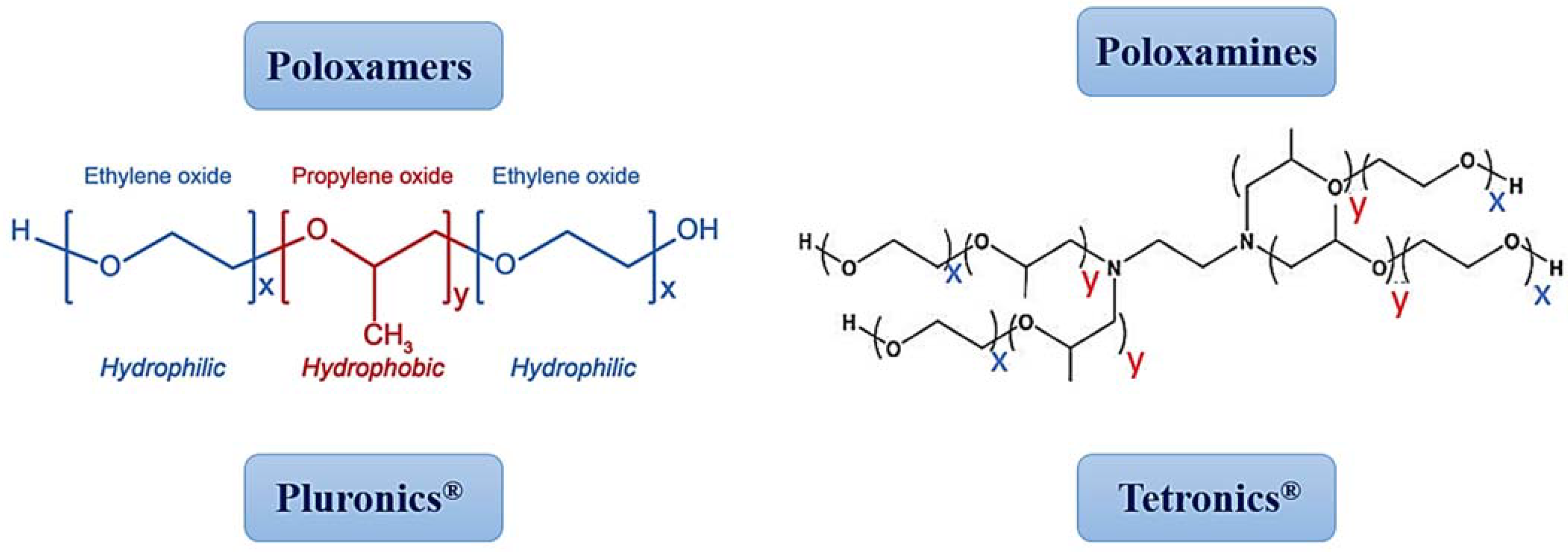 Pharmaceutics 14 01700 g005 Pharmaceutics 14 01700 g005