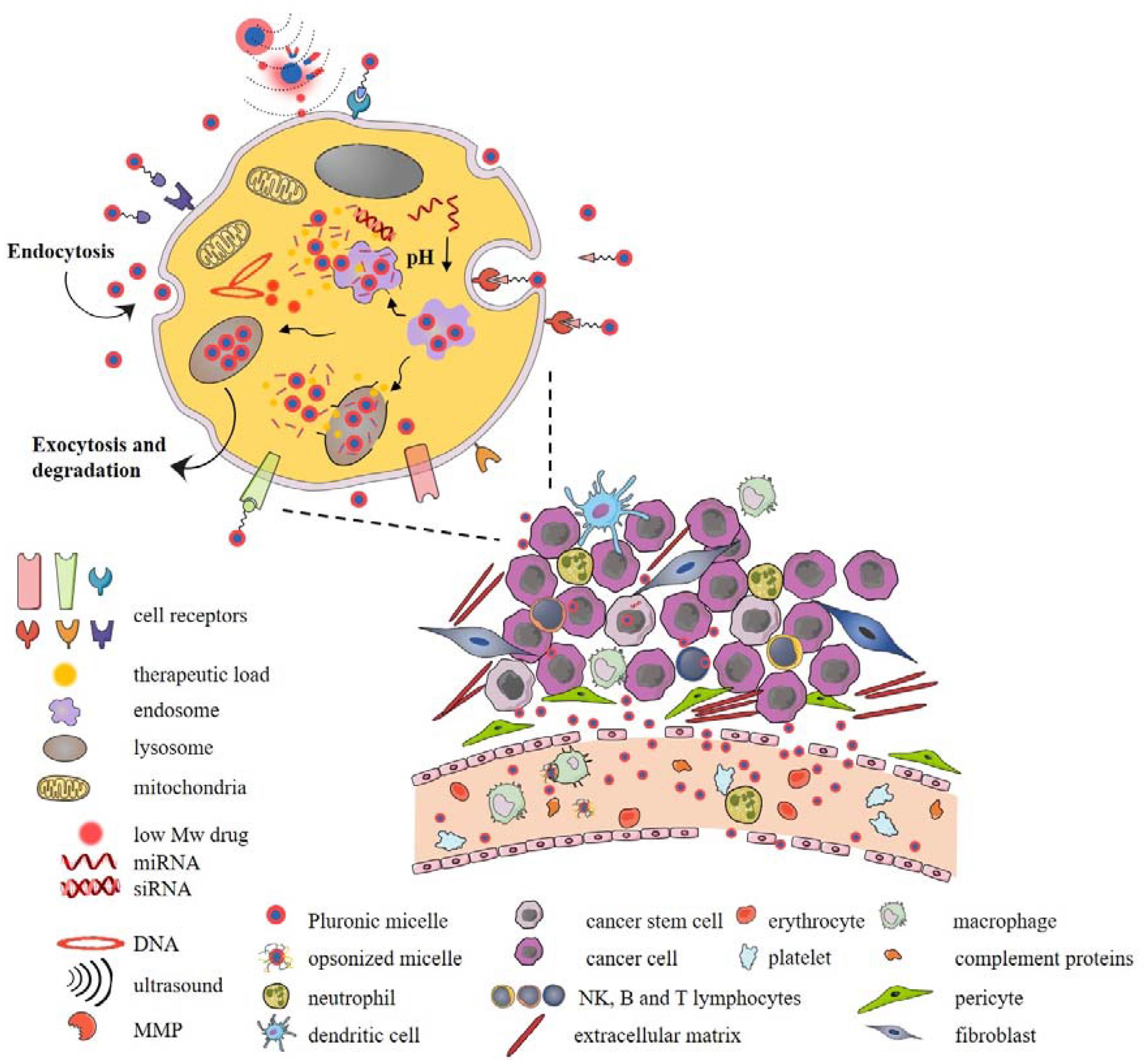 Pharmaceutics 14 01700 g006 Pharmaceutics 14 01700 g006