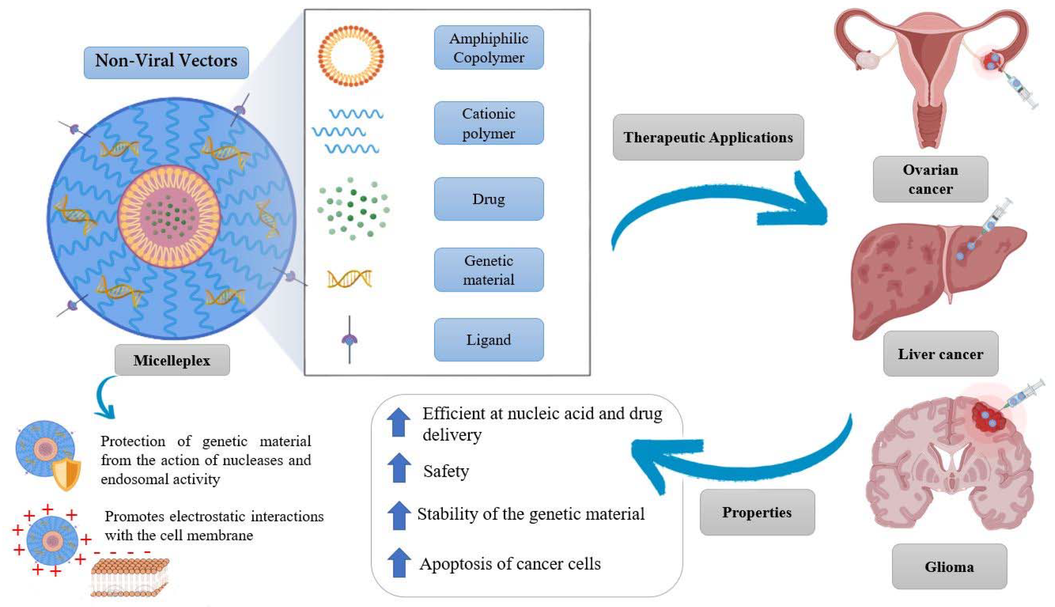 Pharmaceutics 14 01700 g010 Pharmaceutics 14 01700 g010