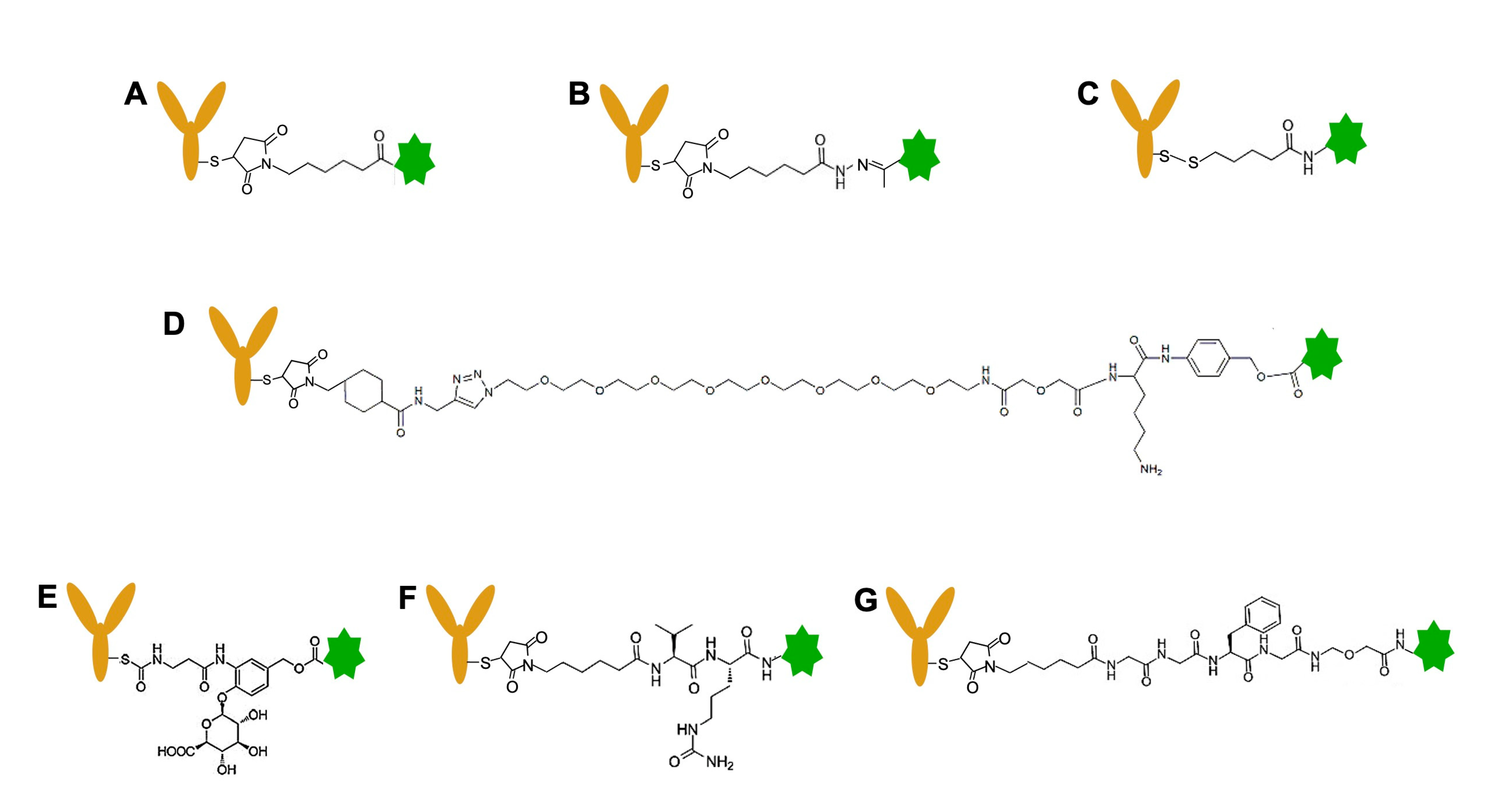 Pharmaceutics 14 01707 g004