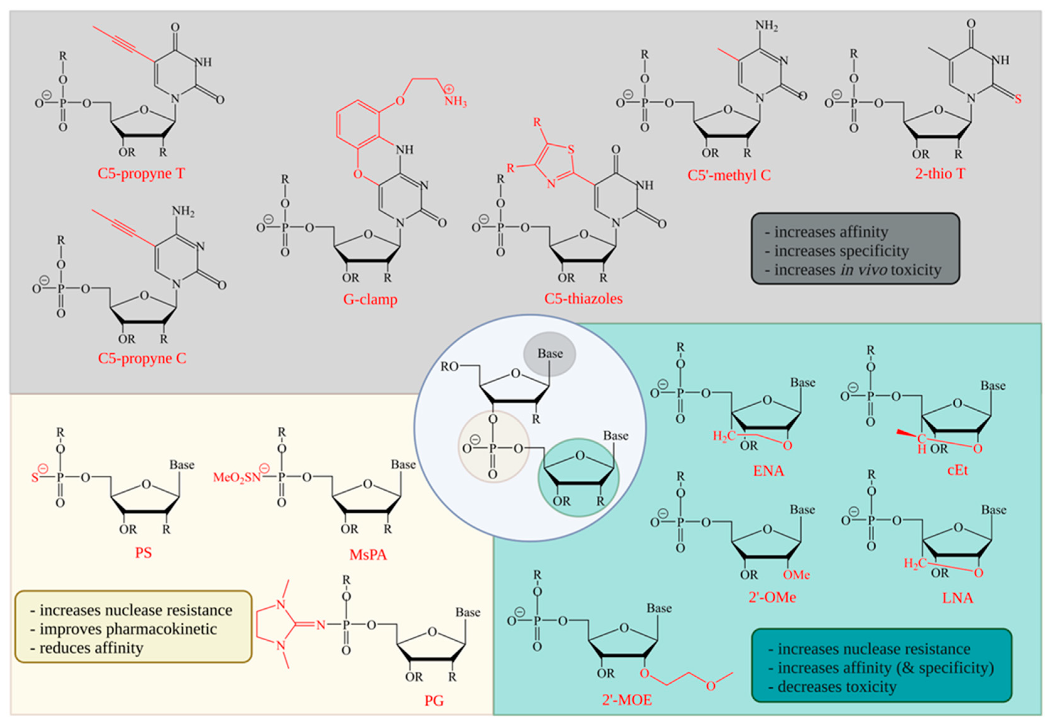Pharmaceutics 14 01708 g002 Pharmaceutics 14 01708 g002