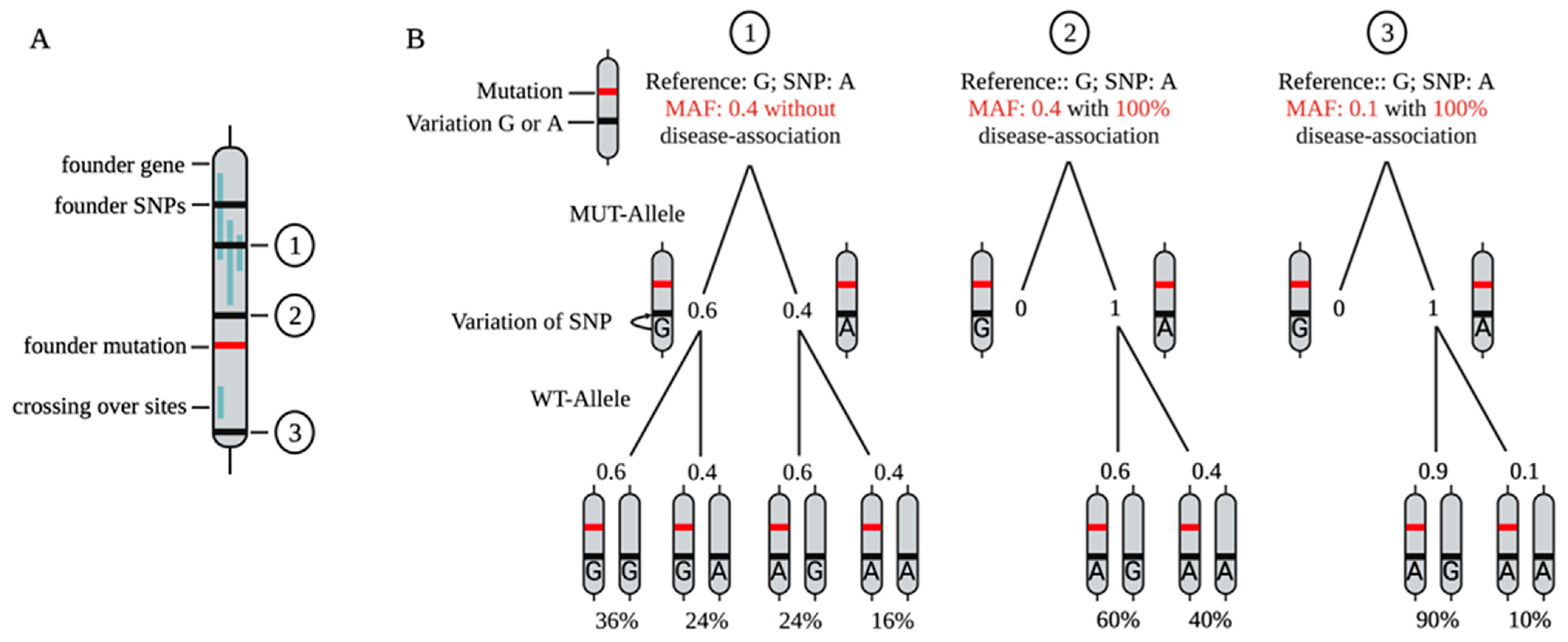 Pharmaceutics 14 01708 g003 Pharmaceutics 14 01708 g003