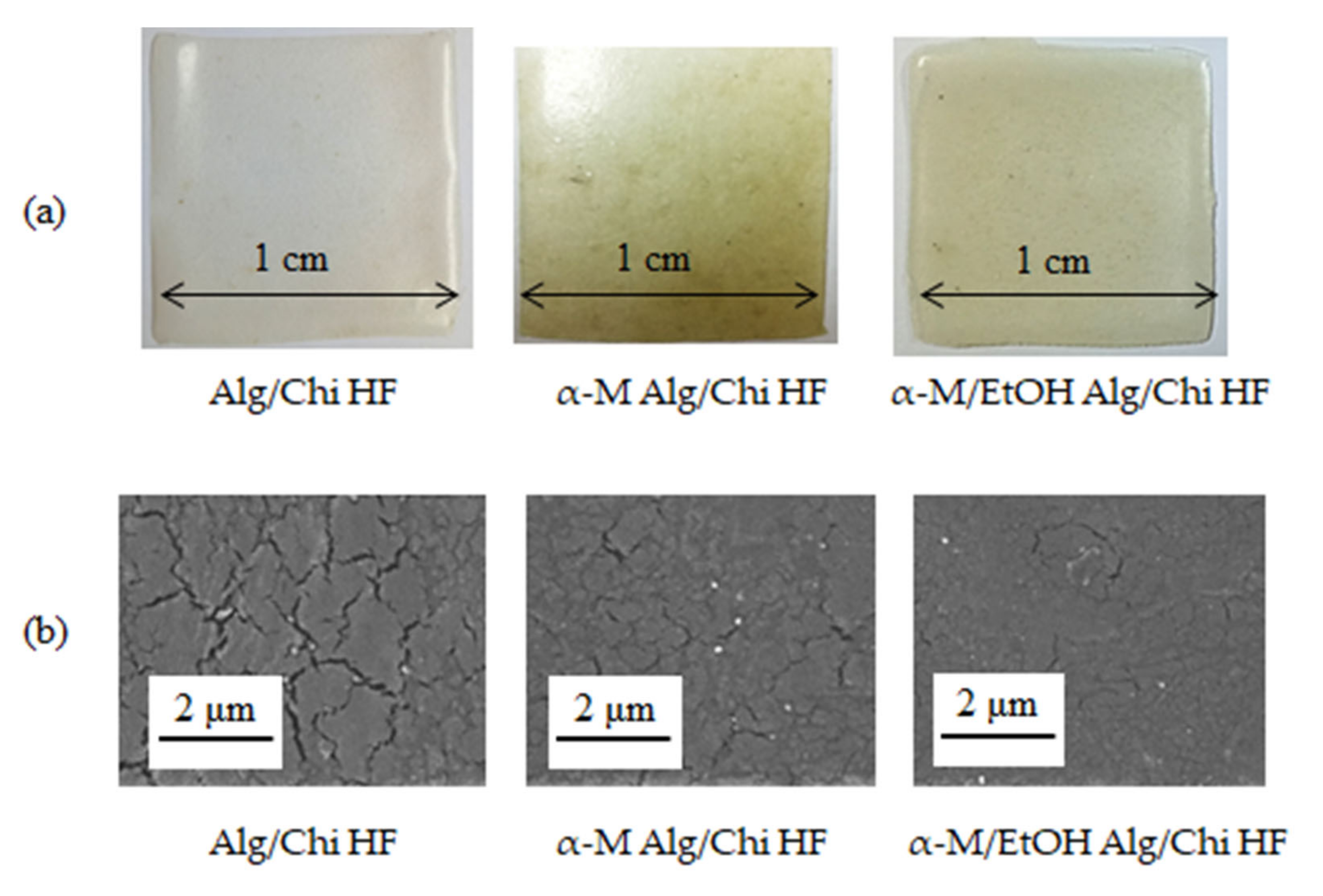 Pharmaceutics 14 01709 g002 Pharmaceutics 14 01709 g002