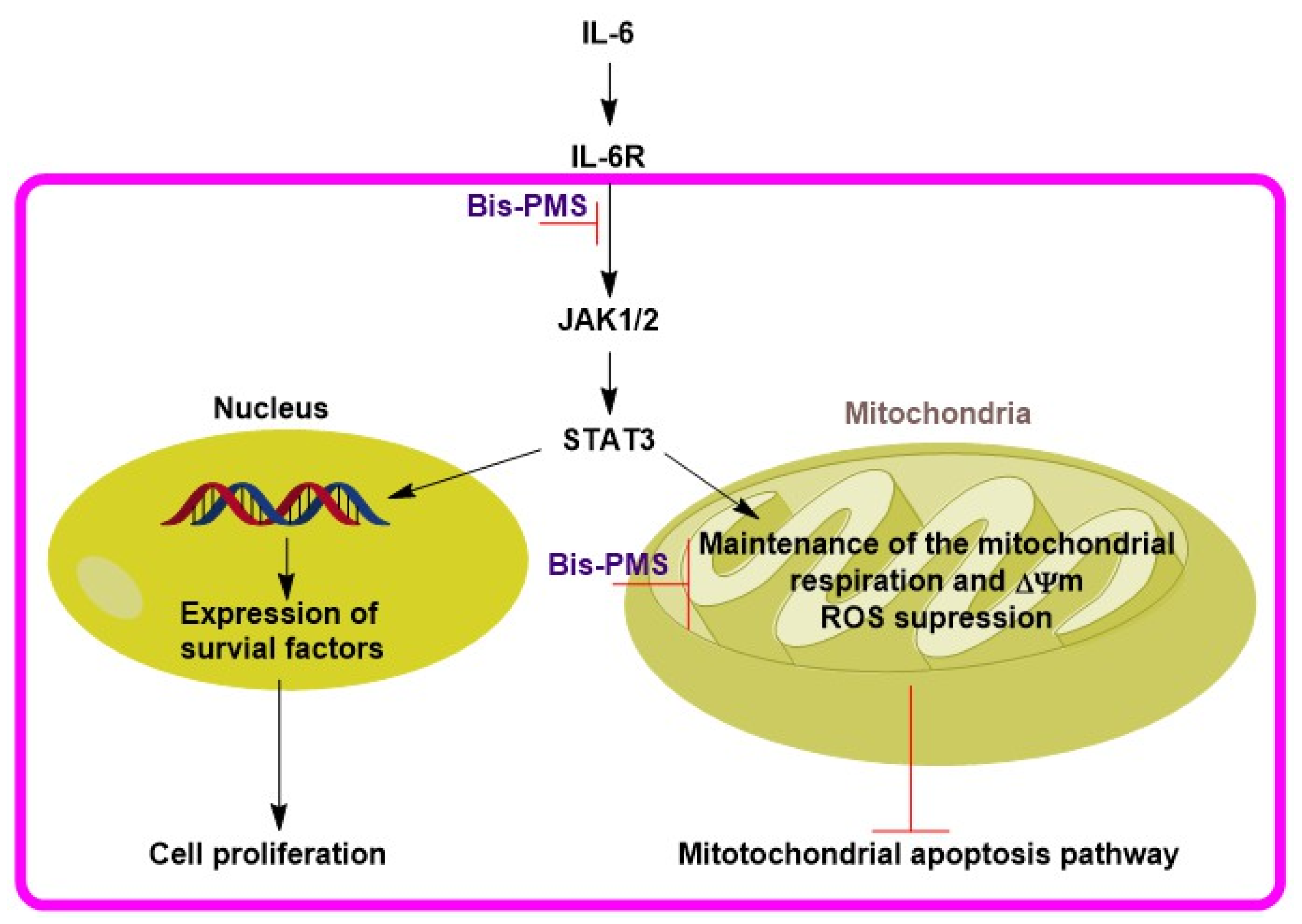 Pharmaceutics 14 01712 g008 Pharmaceutics 14 01712 g008