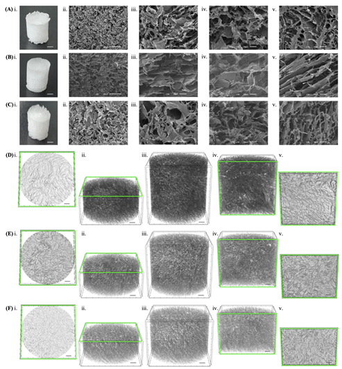 Pharmaceutics 14 01713 g006 550