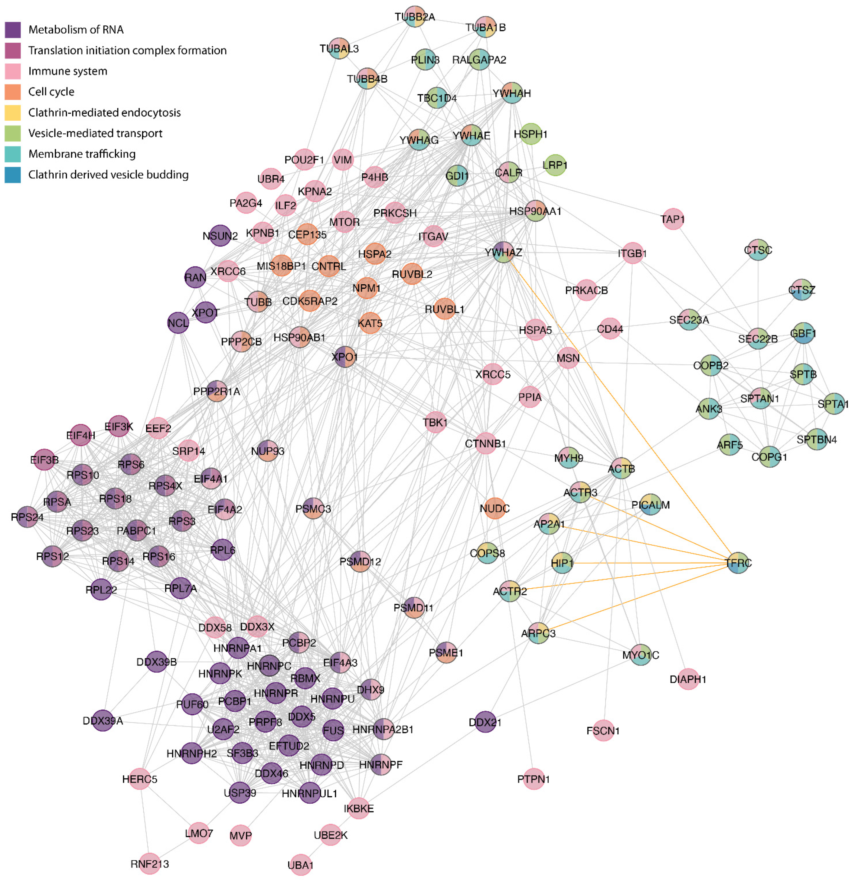 Pharmaceutics 14 01715 g002 Pharmaceutics 14 01715 g002