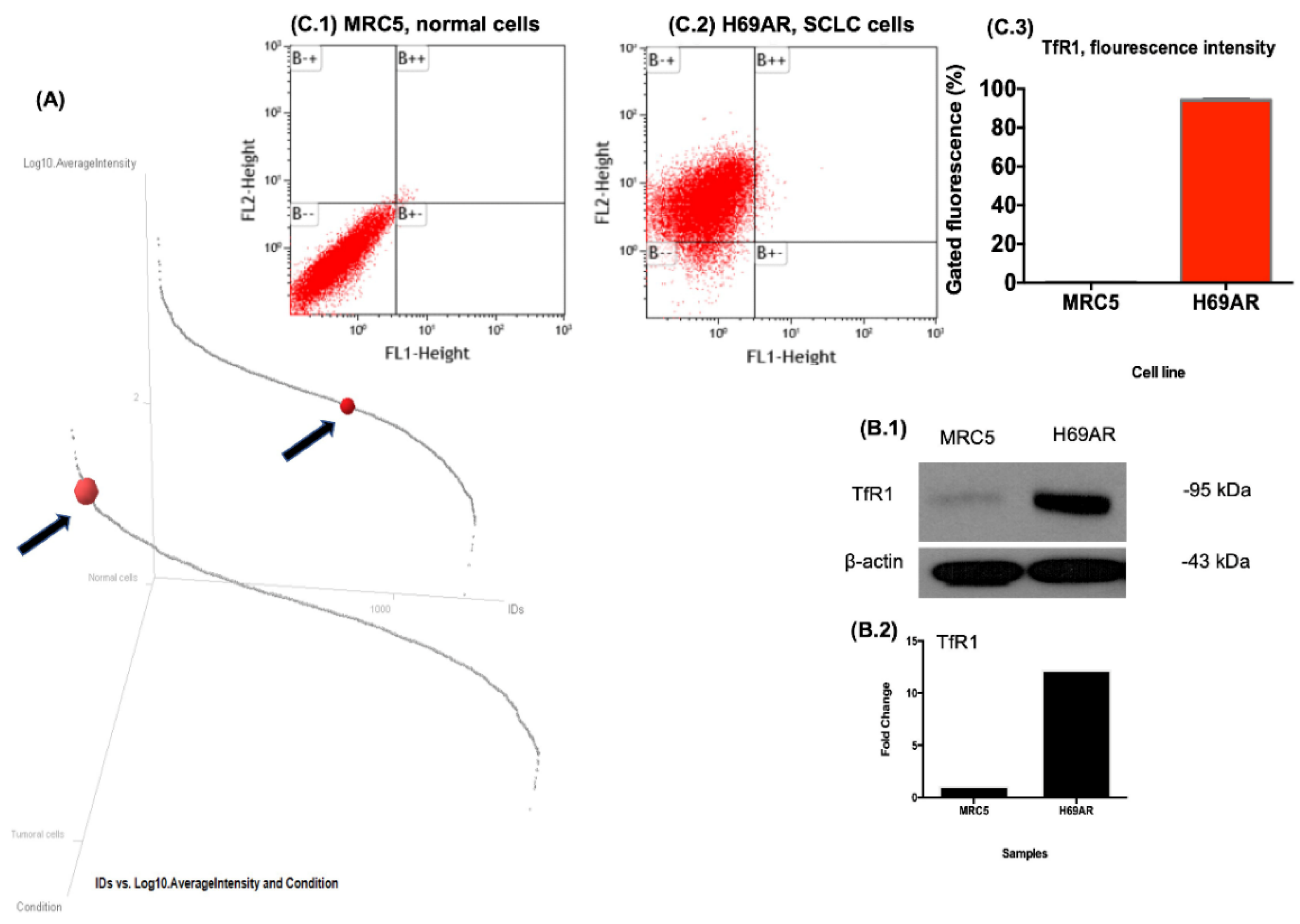 Pharmaceutics 14 01715 g003 Pharmaceutics 14 01715 g003
