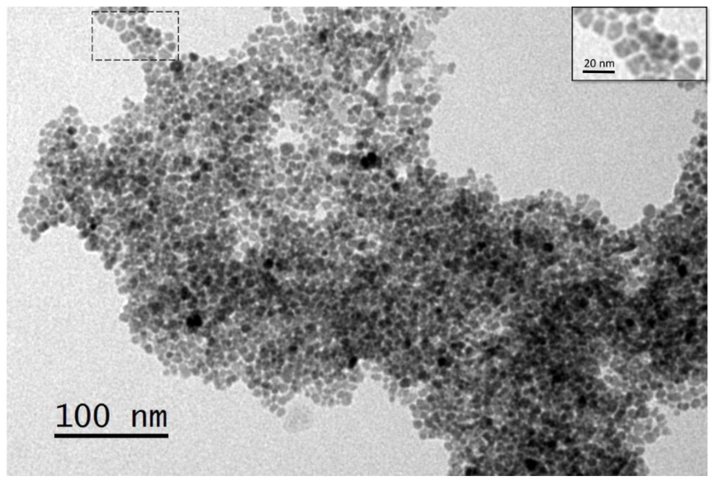 Pharmaceutics 14 01715 g005 Pharmaceutics 14 01715 g005