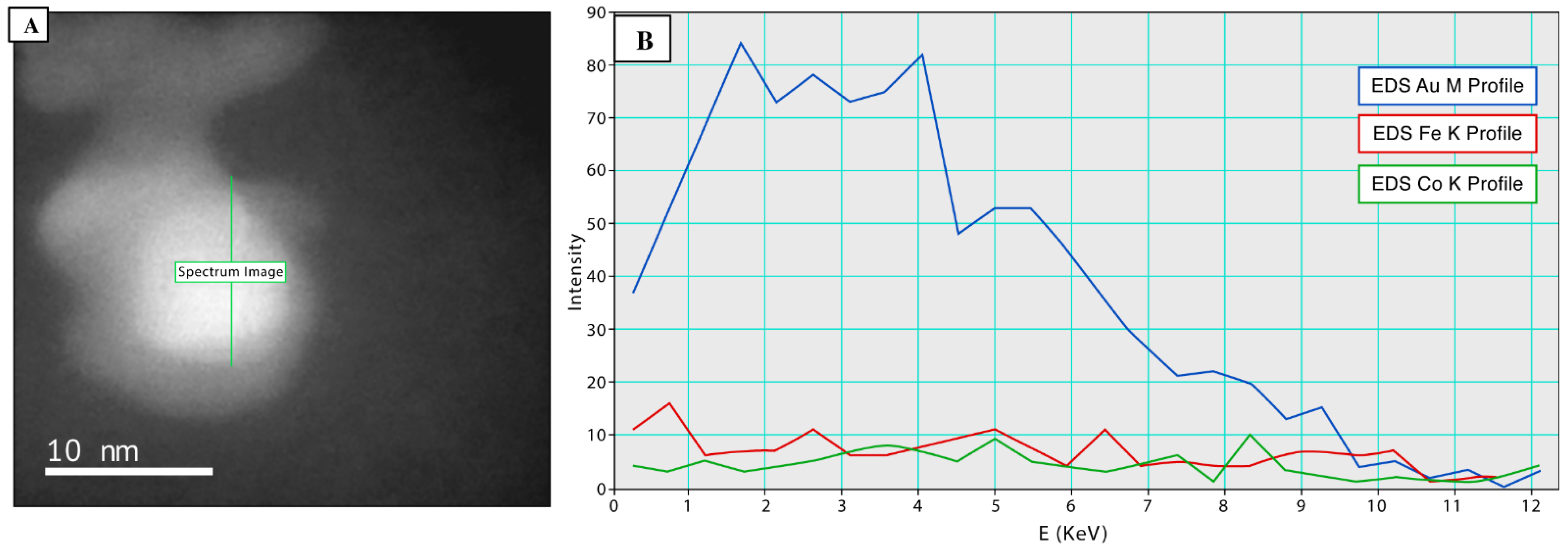 Pharmaceutics 14 01715 g006 Pharmaceutics 14 01715 g006