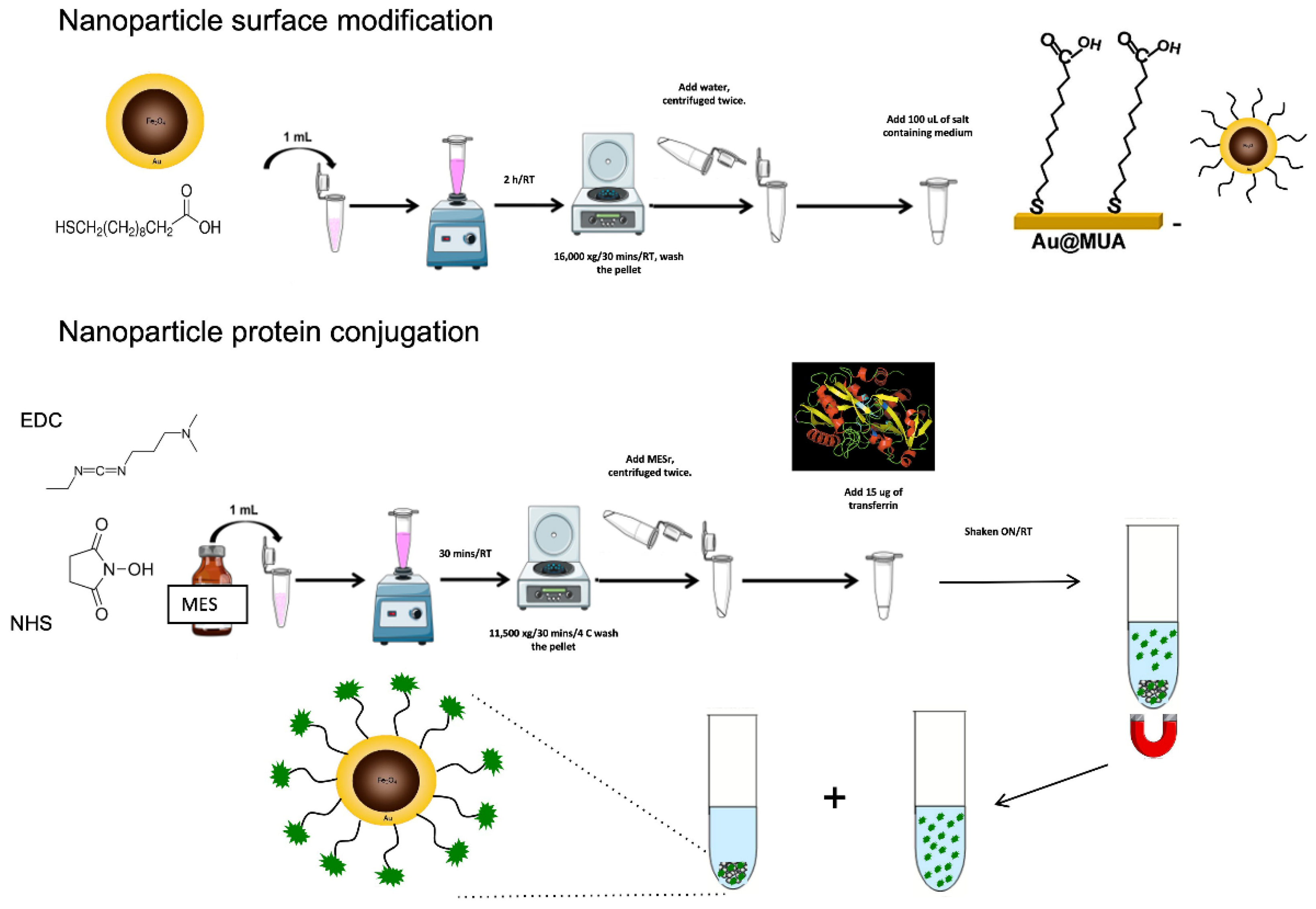 Pharmaceutics 14 01715 sch001 Pharmaceutics 14 01715 sch001