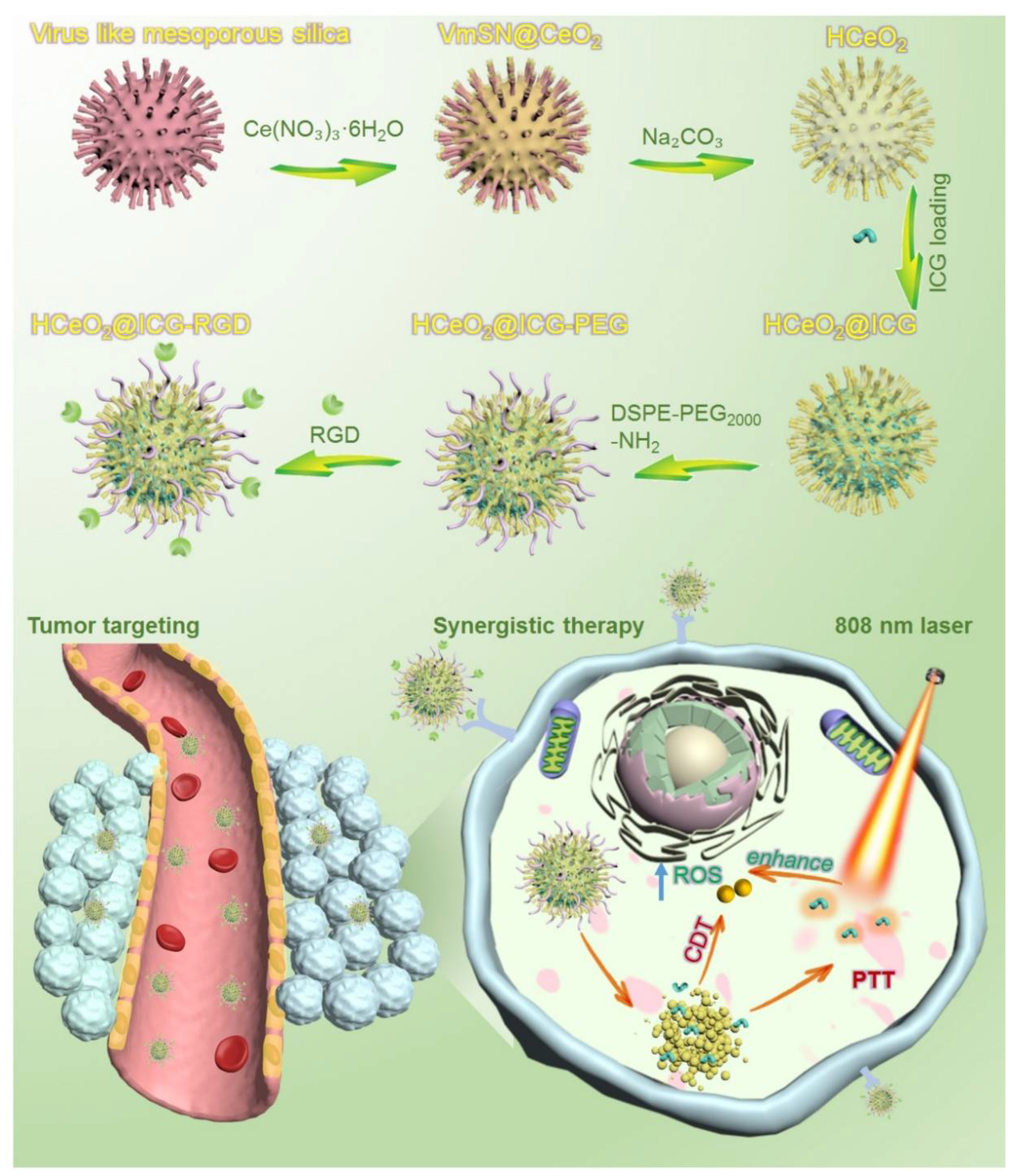 Pharmaceutics 14 01717 g001 550