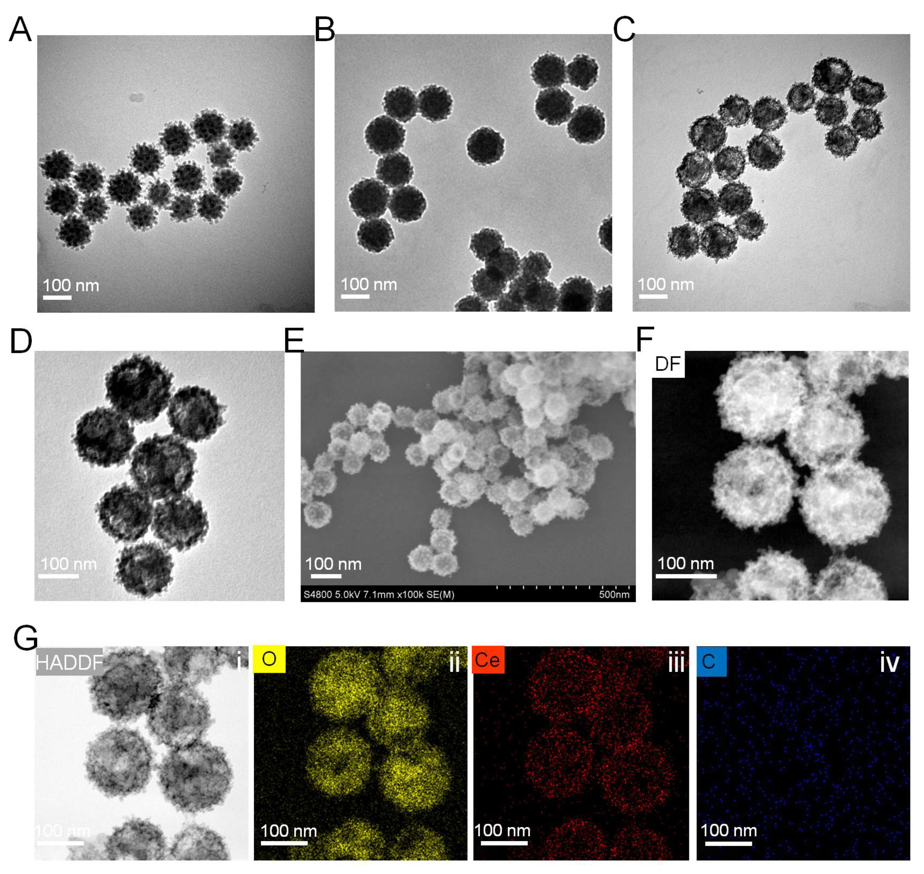 Pharmaceutics 14 01717 g002 550
