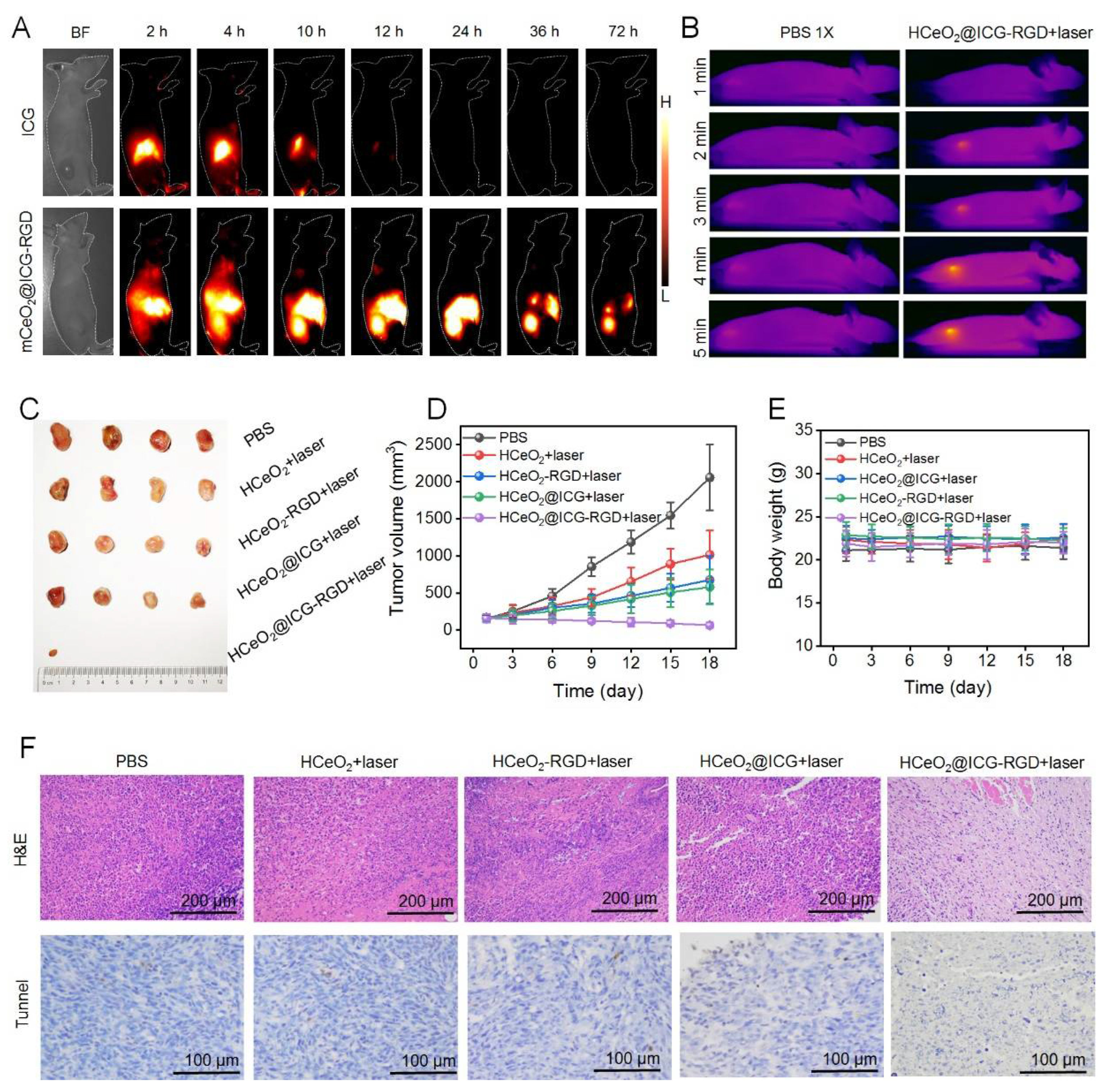 Pharmaceutics 14 01717 g005 550