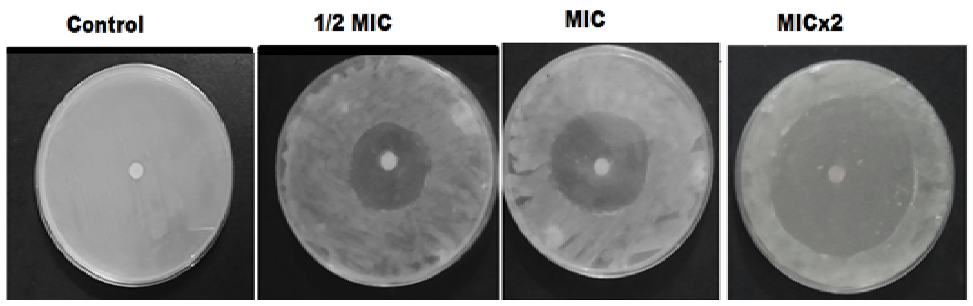 Pharmaceutics 14 01719 g006 550
