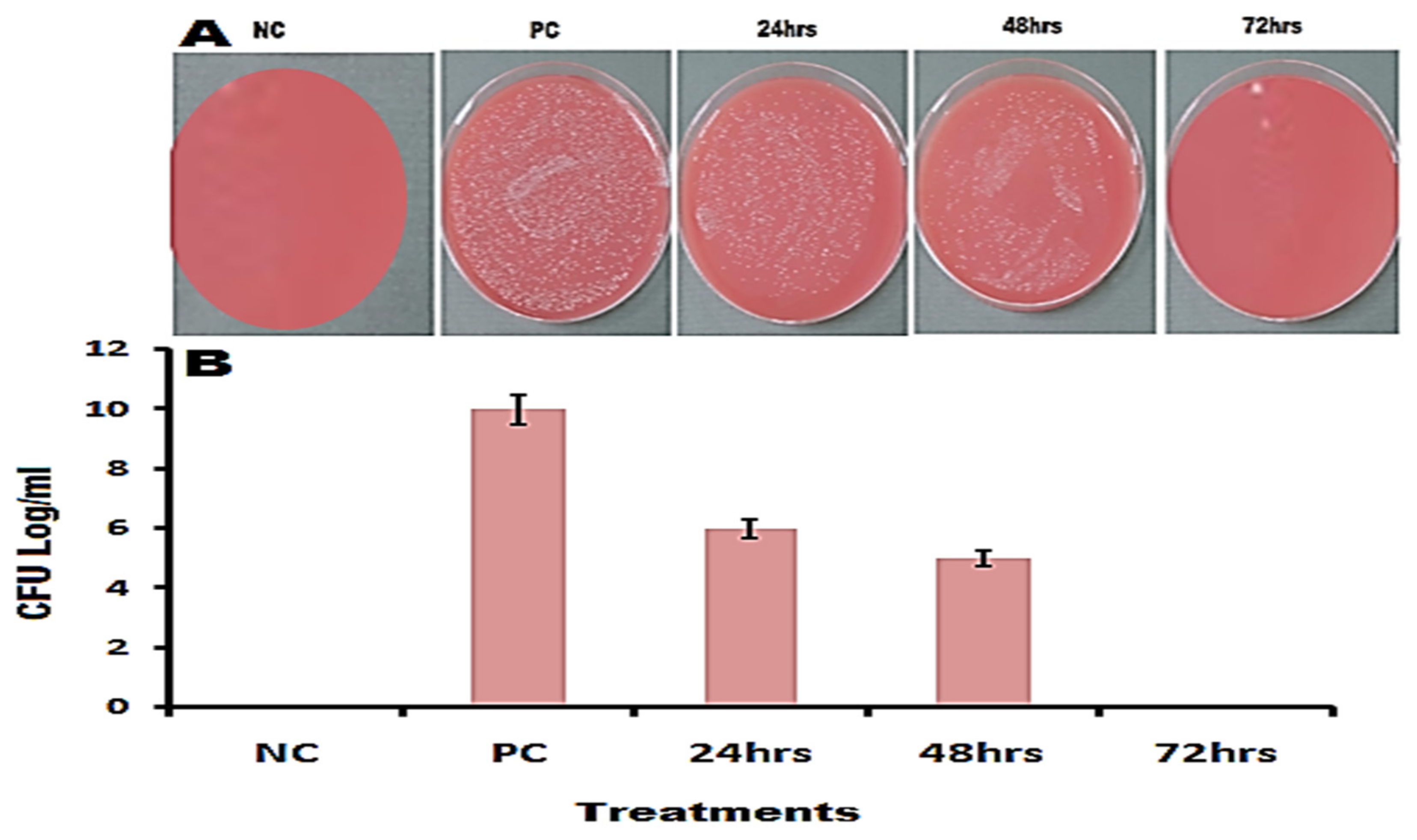 Pharmaceutics 14 01719 g011 550