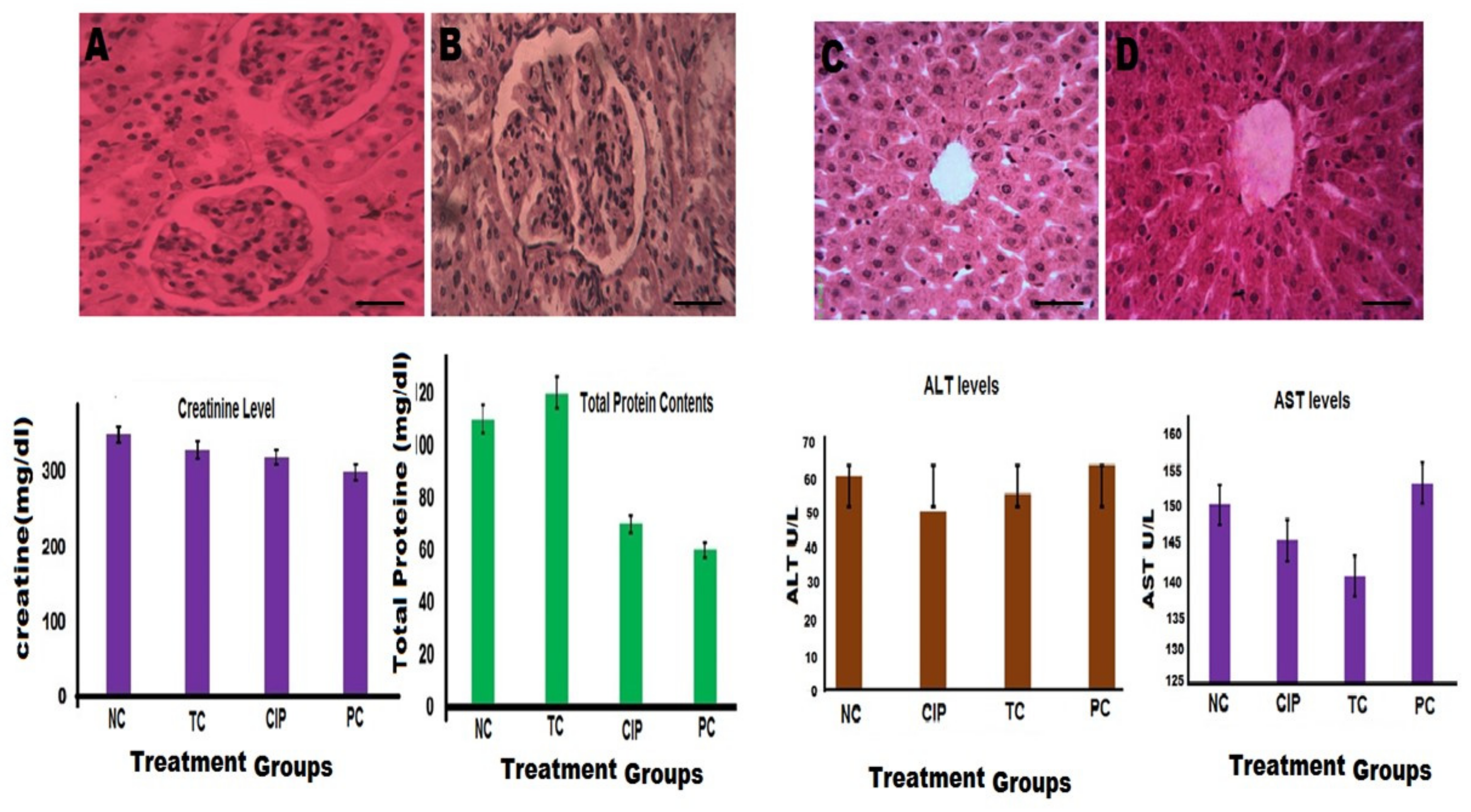 Pharmaceutics 14 01719 g012 550