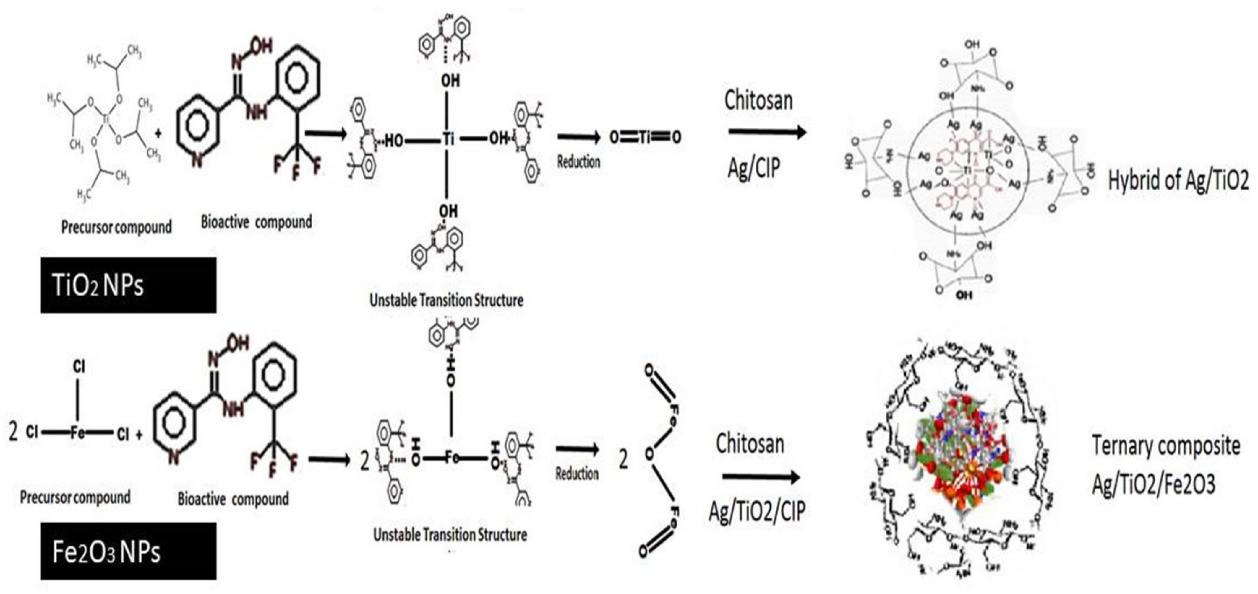 Pharmaceutics 14 01719 sch002 550