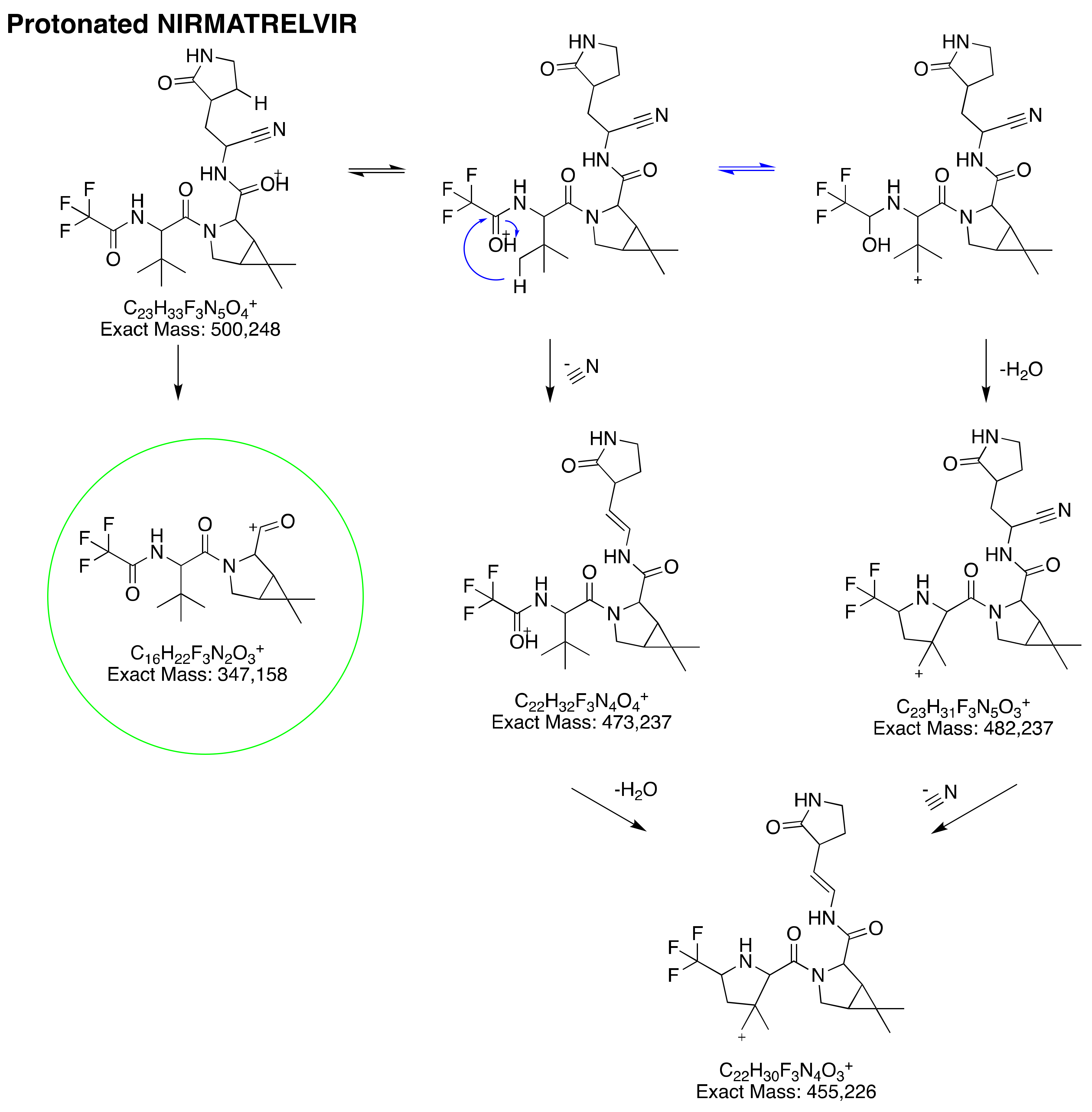 Pharmaceutics 14 01720 g002 550