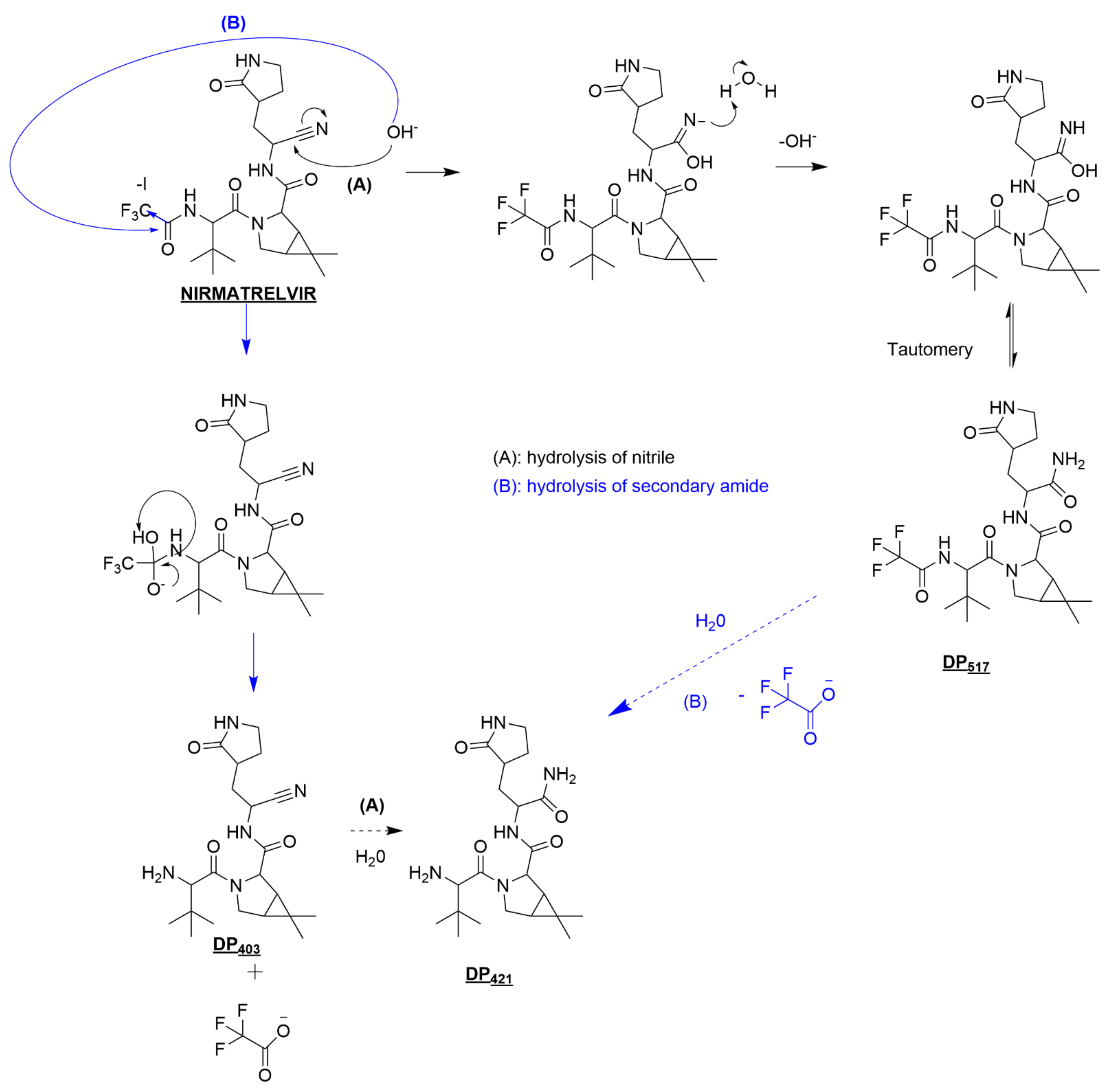 Pharmaceutics 14 01720 g006 550