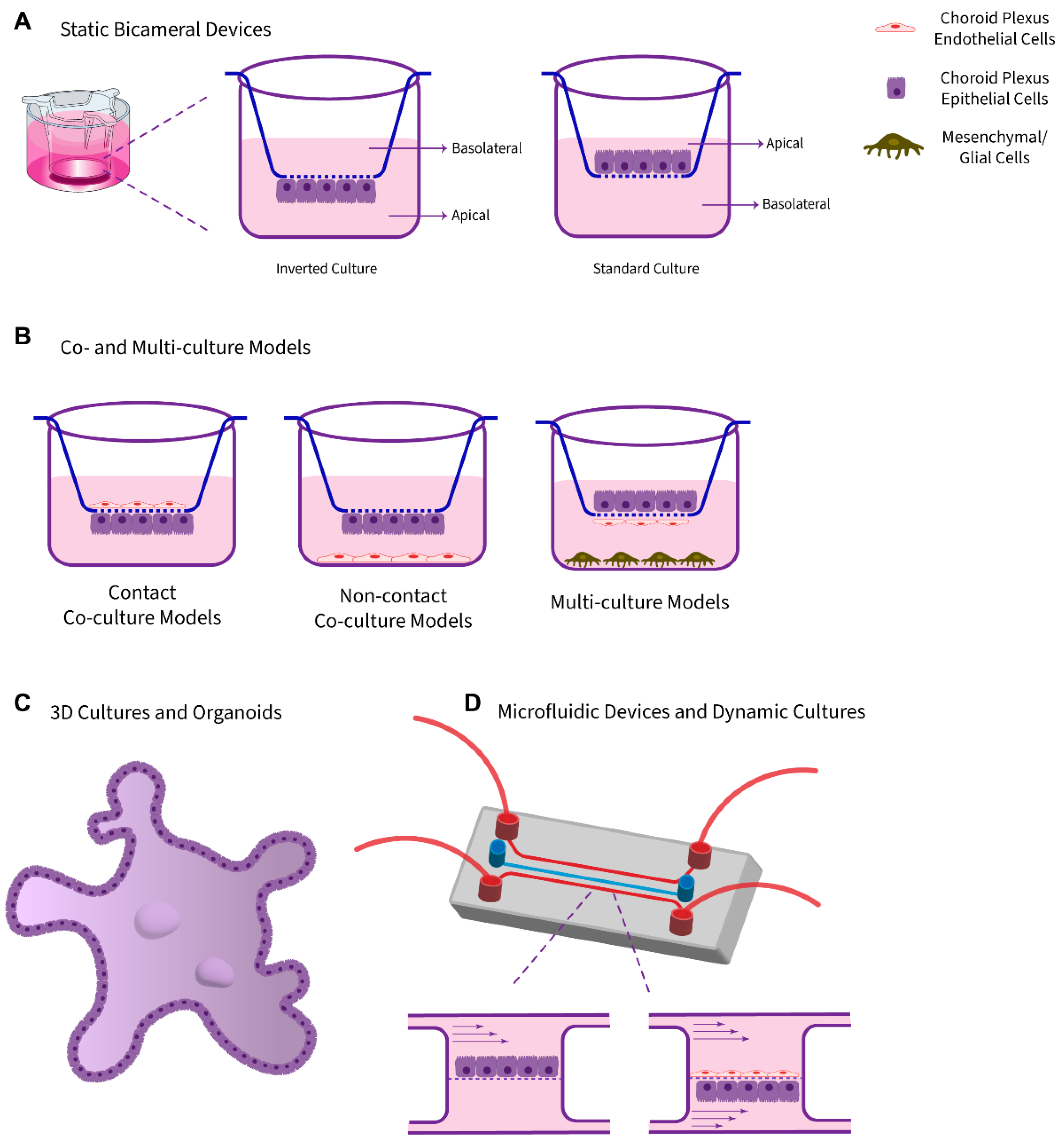 Pharmaceutics 14 01729 g002