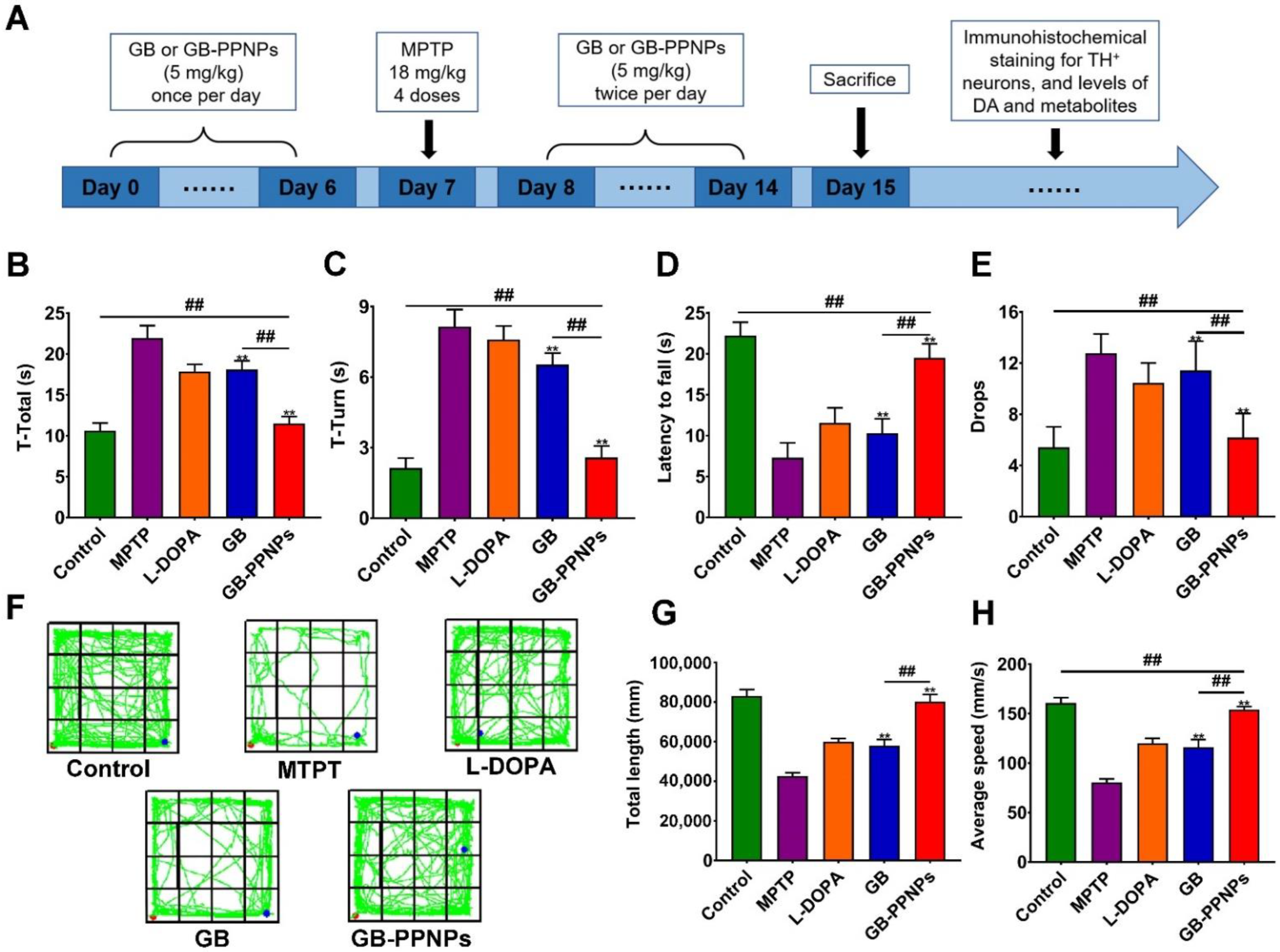 Pharmaceutics 14 01731 g006 550