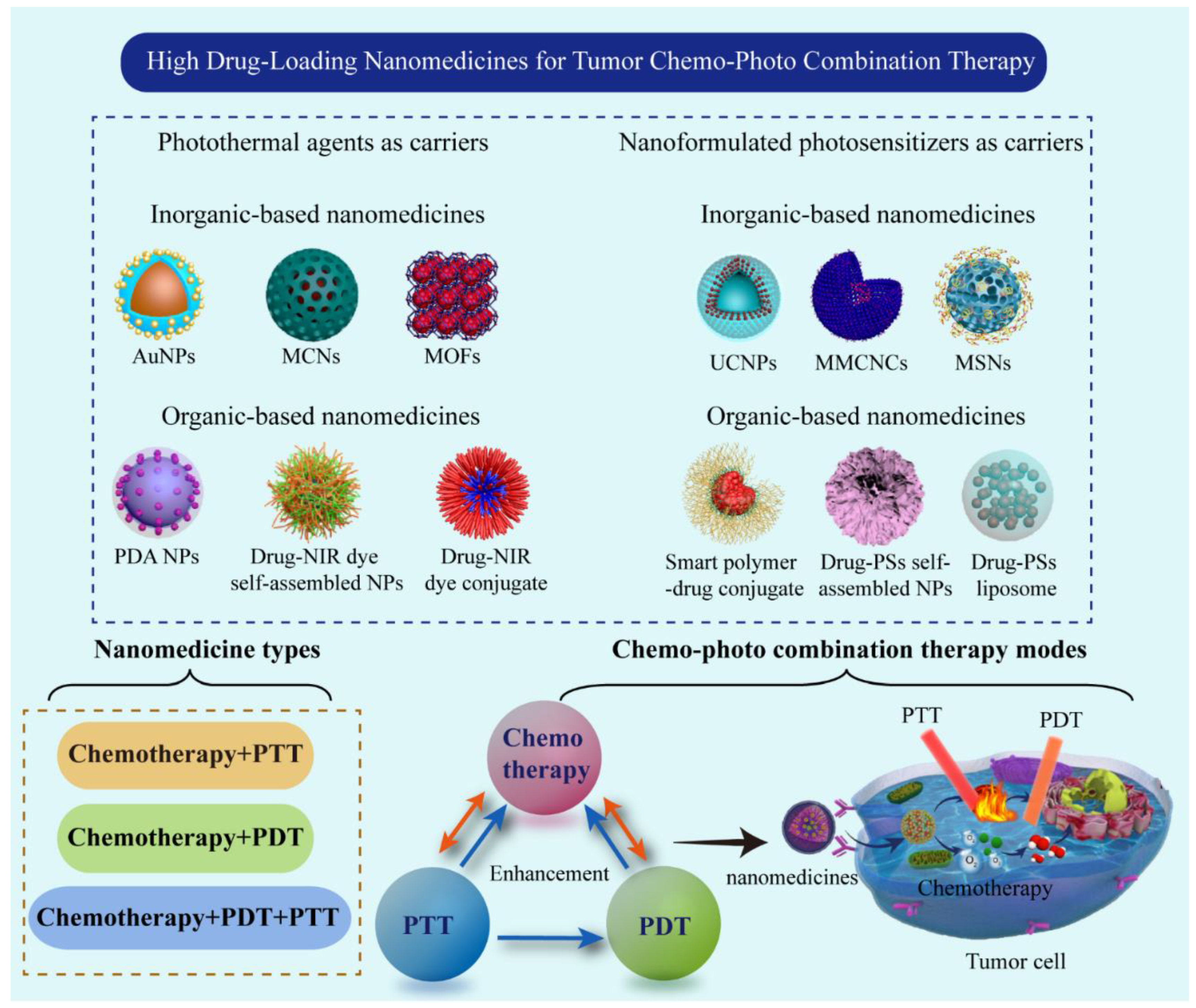 Pharmaceutics 14 01735 g001 550