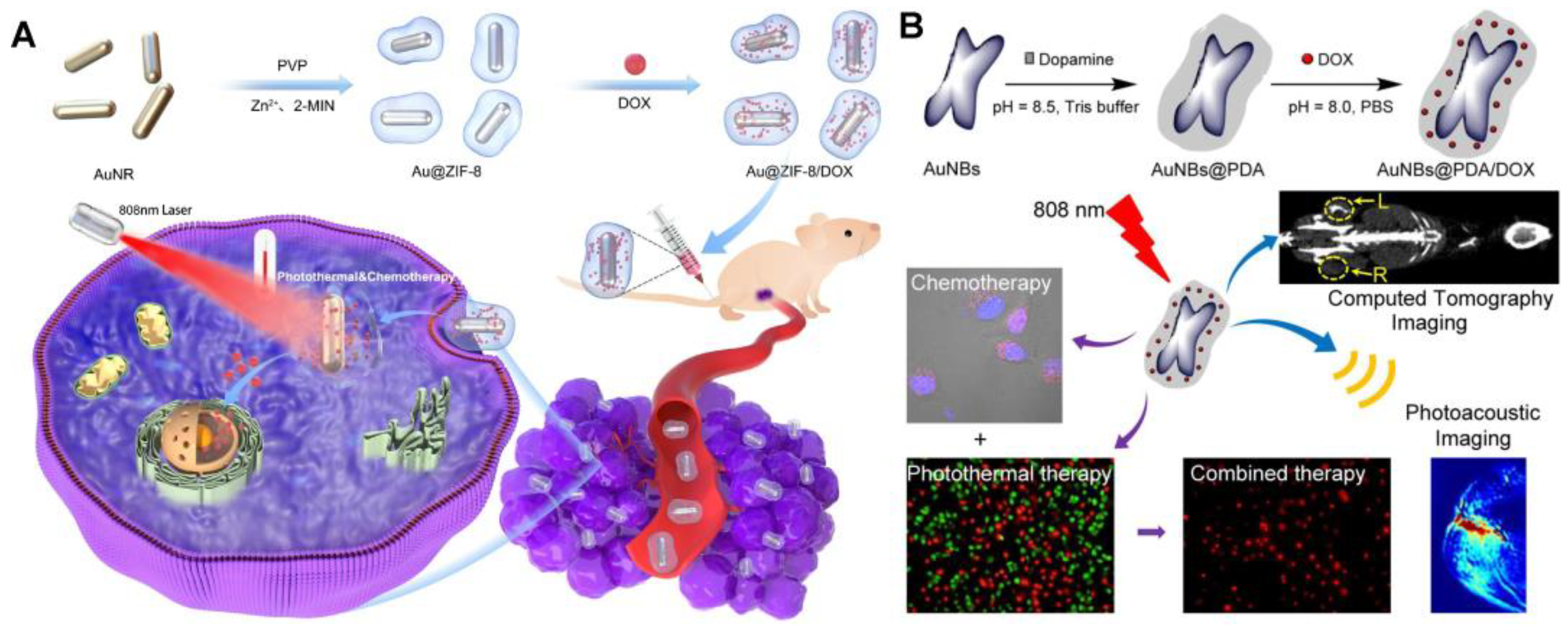 Pharmaceutics 14 01735 g002 550