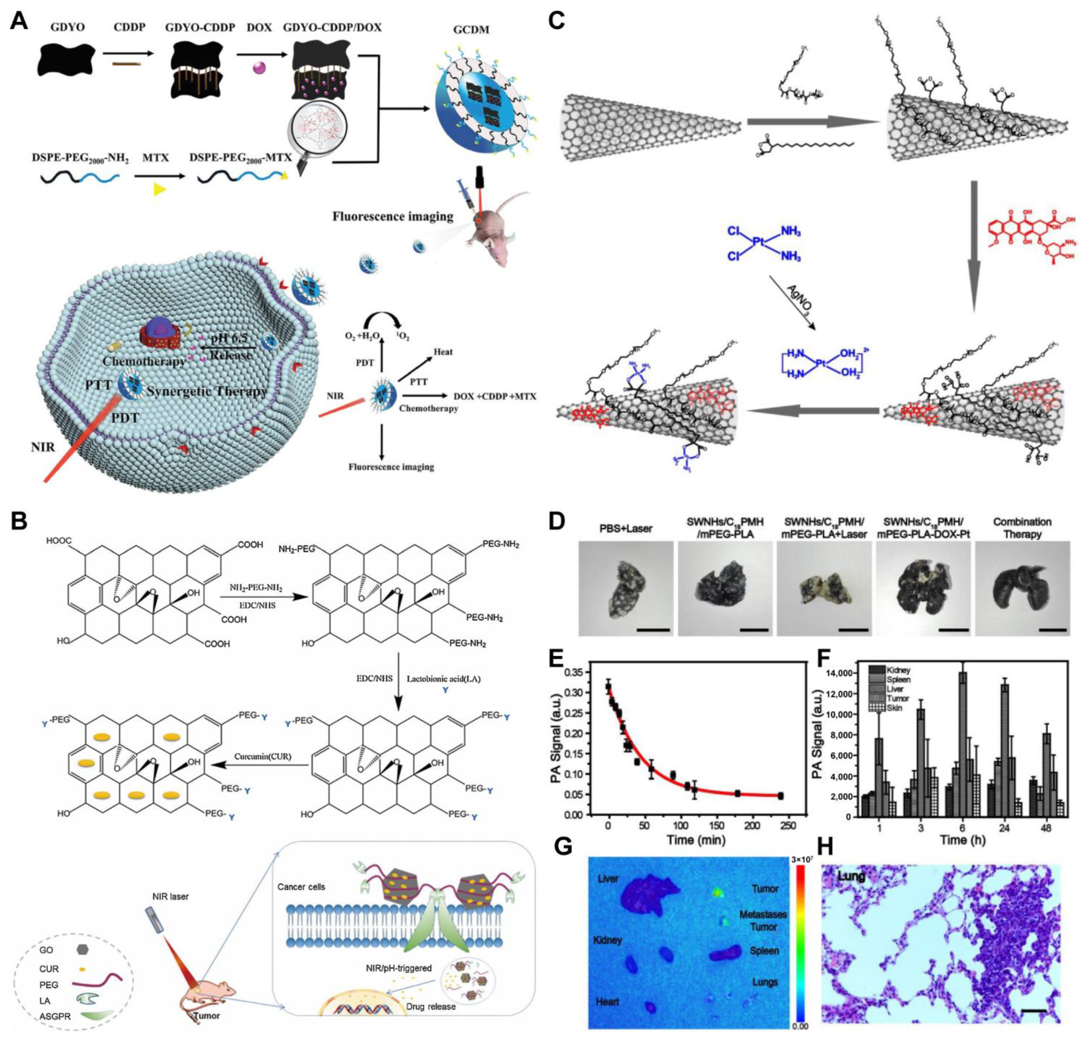 Pharmaceutics 14 01735 g003 550