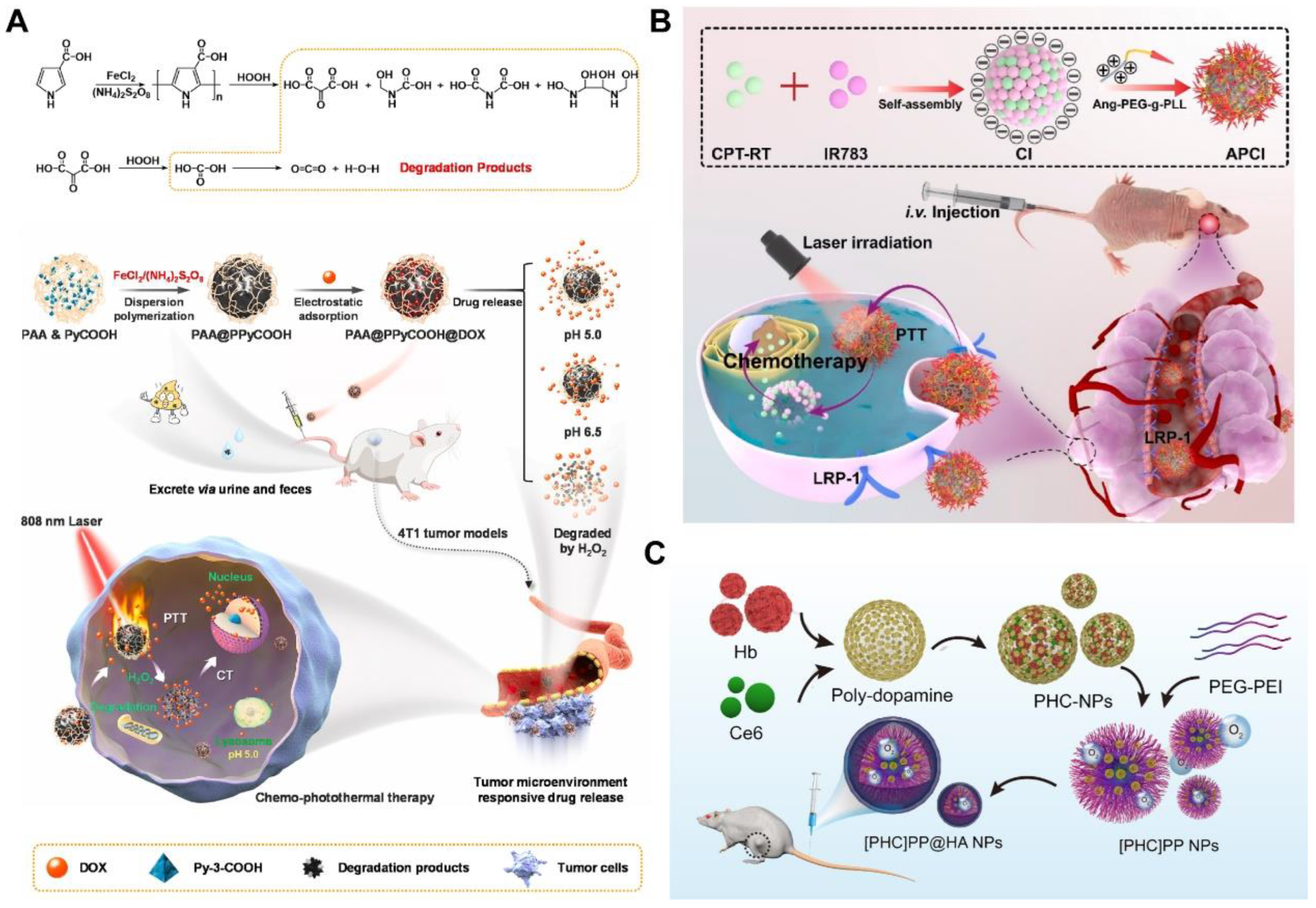 Pharmaceutics 14 01735 g004 550