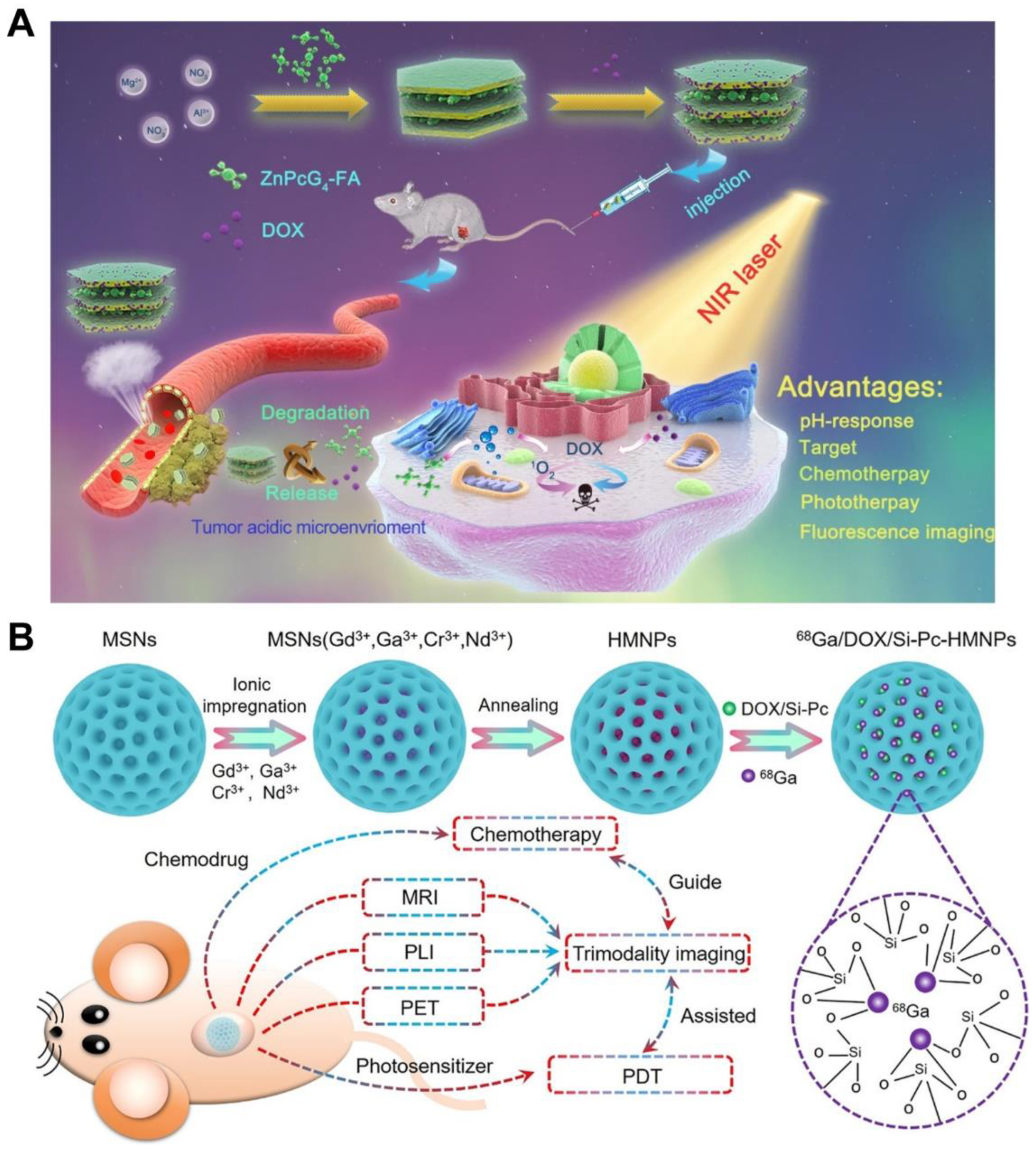 Pharmaceutics 14 01735 g005 550