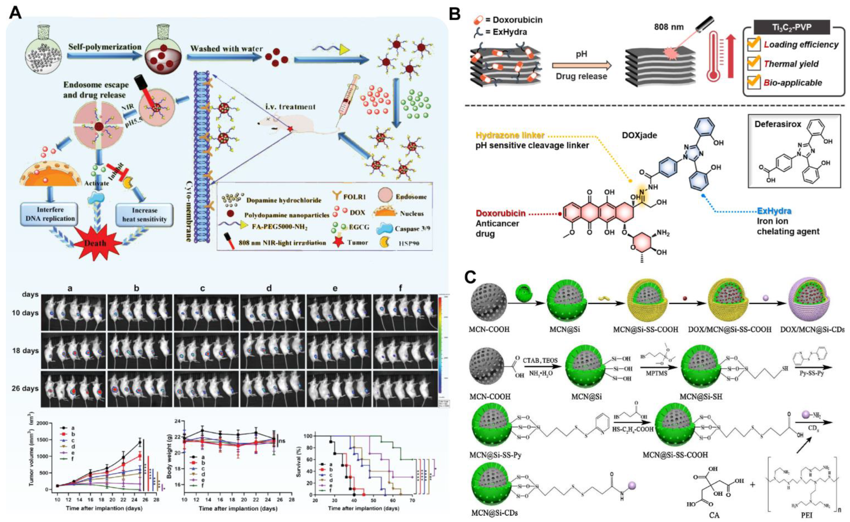 Pharmaceutics 14 01735 g006 550