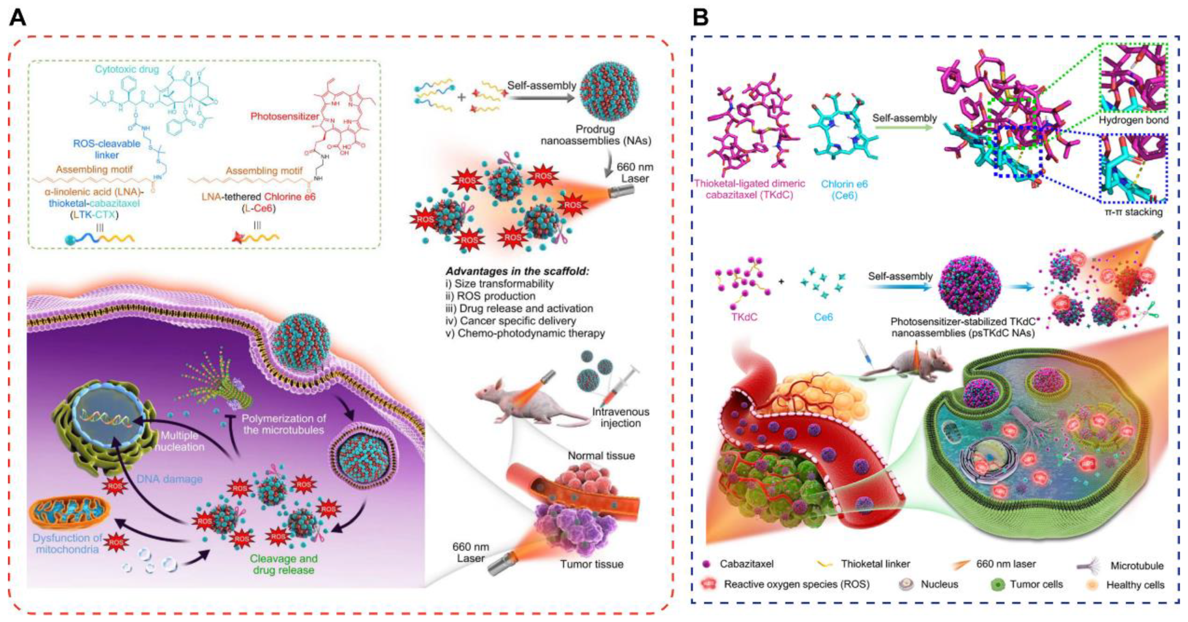 Pharmaceutics 14 01735 g007 550