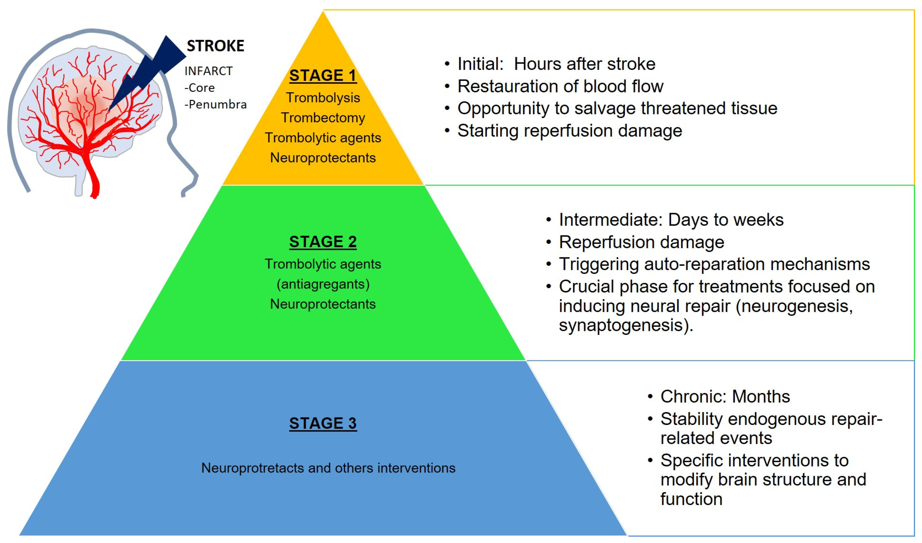 Pharmaceutics 14 01737 g001 550