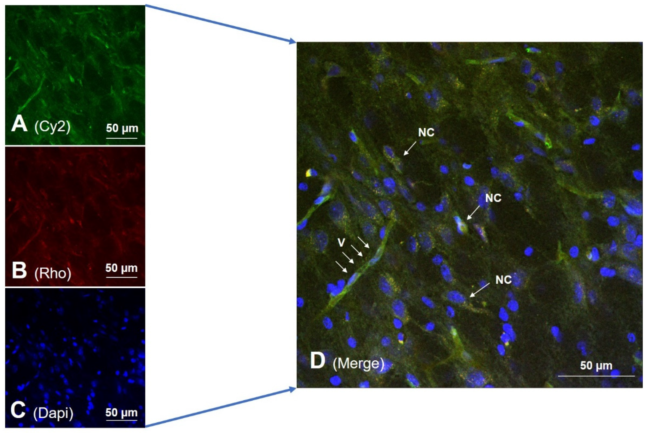 Pharmaceutics 14 01737 g005 550