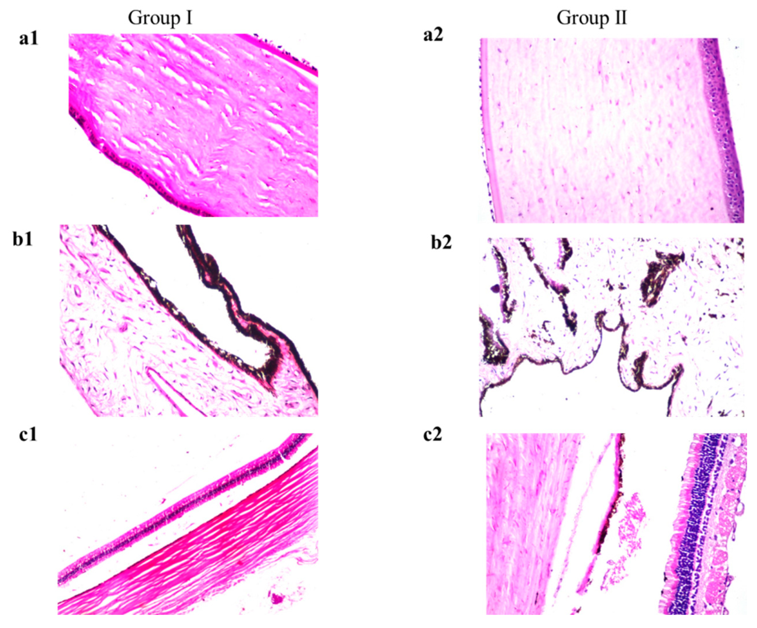 Pharmaceutics 14 01746 g010 Pharmaceutics 14 01746 g010