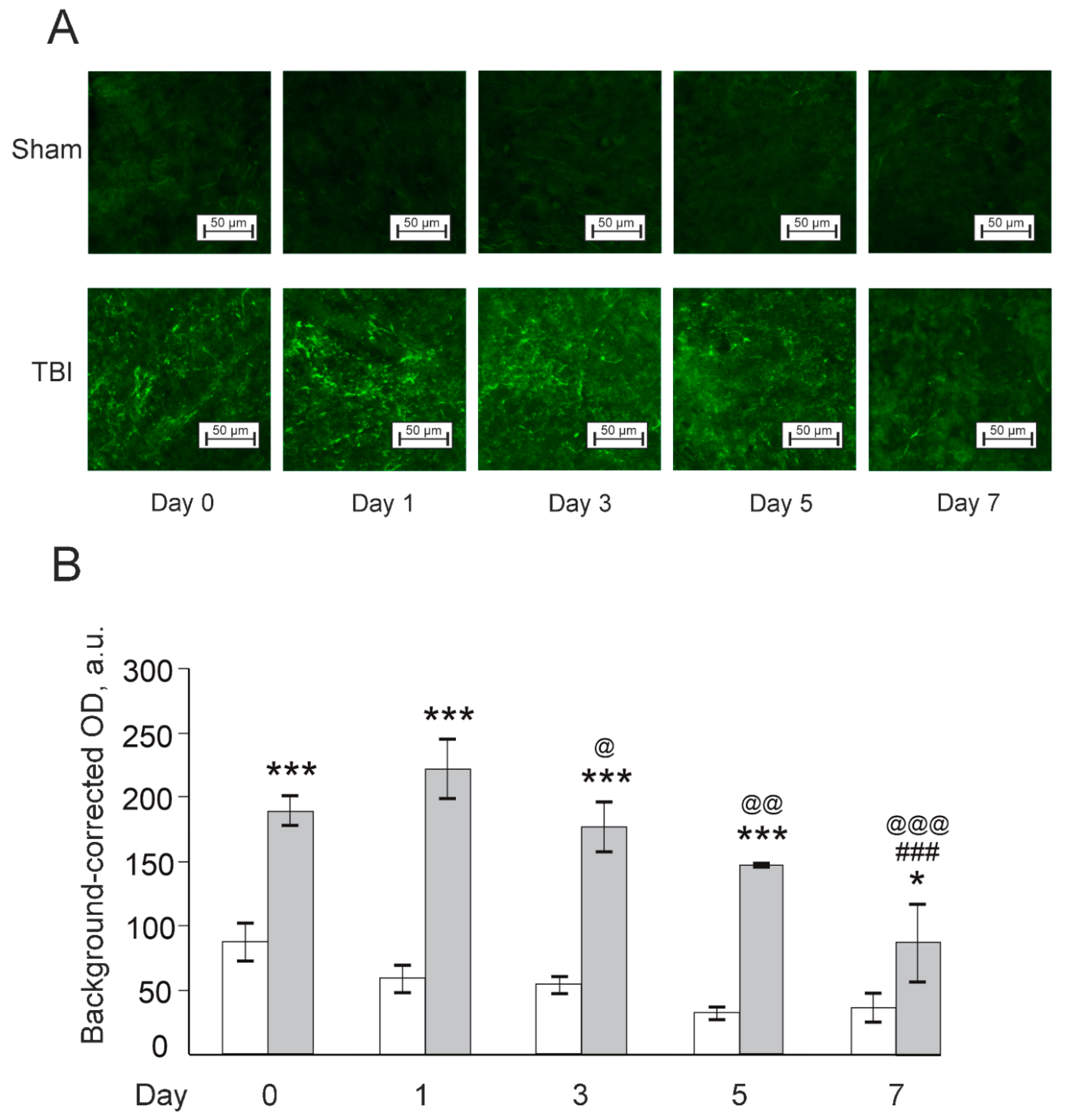 Pharmaceutics 14 01751 g010 Pharmaceutics 14 01751 g010