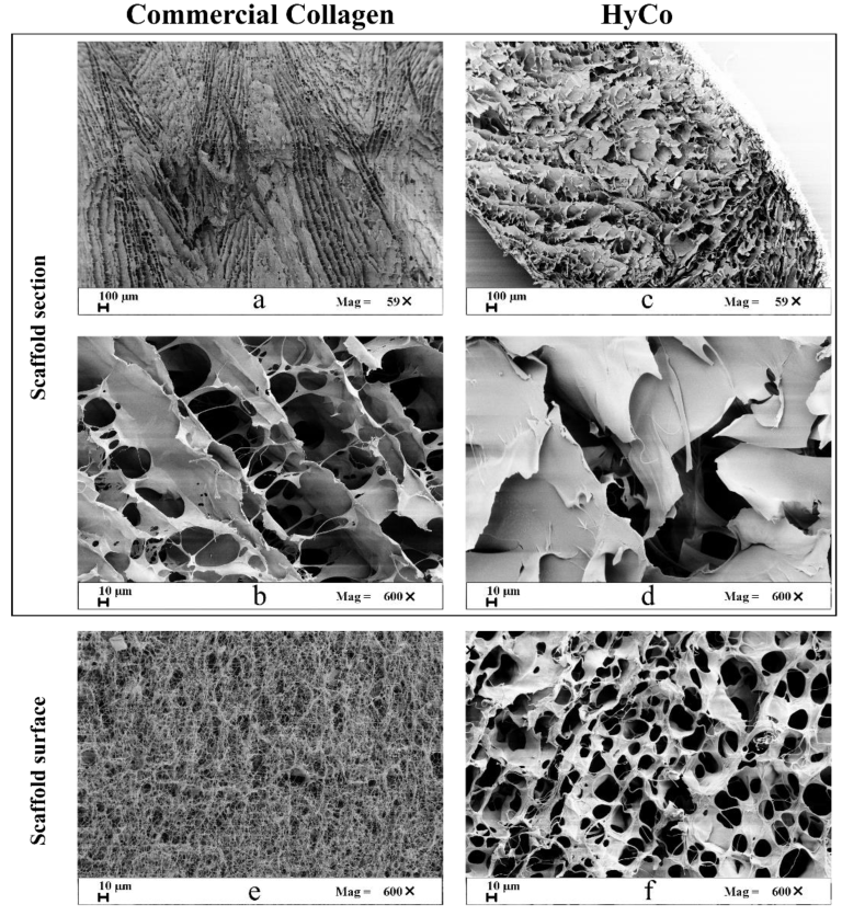 Pharmaceutics 14 01752 g003 550