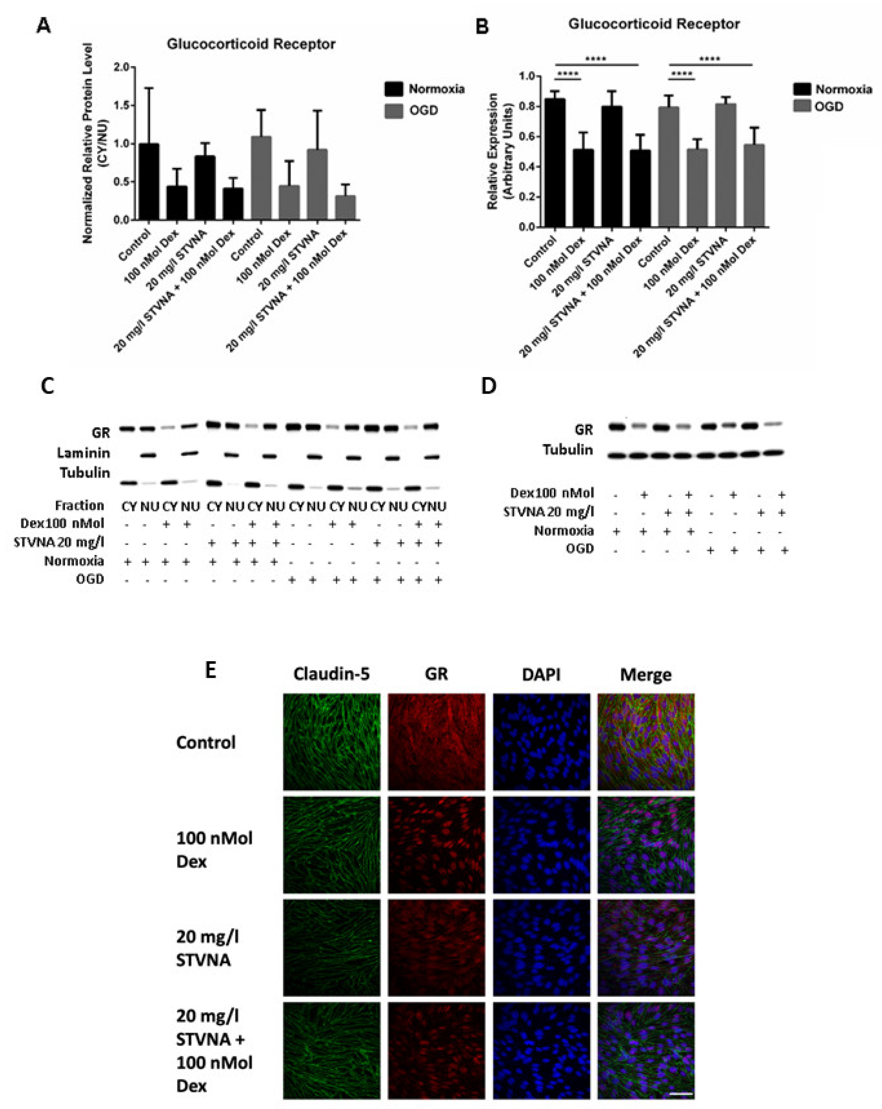 Pharmaceutics 14 01753 g002