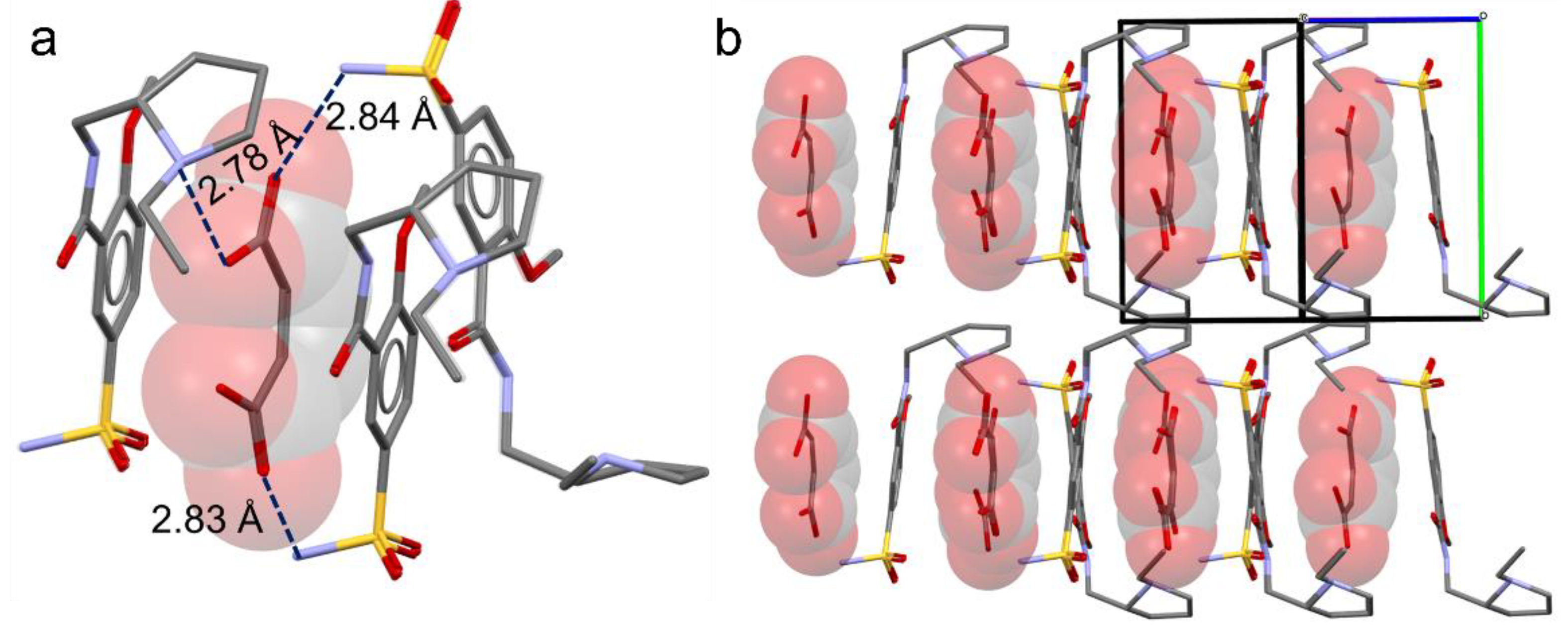 Pharmaceutics 14 01754 g004 Pharmaceutics 14 01754 g004
