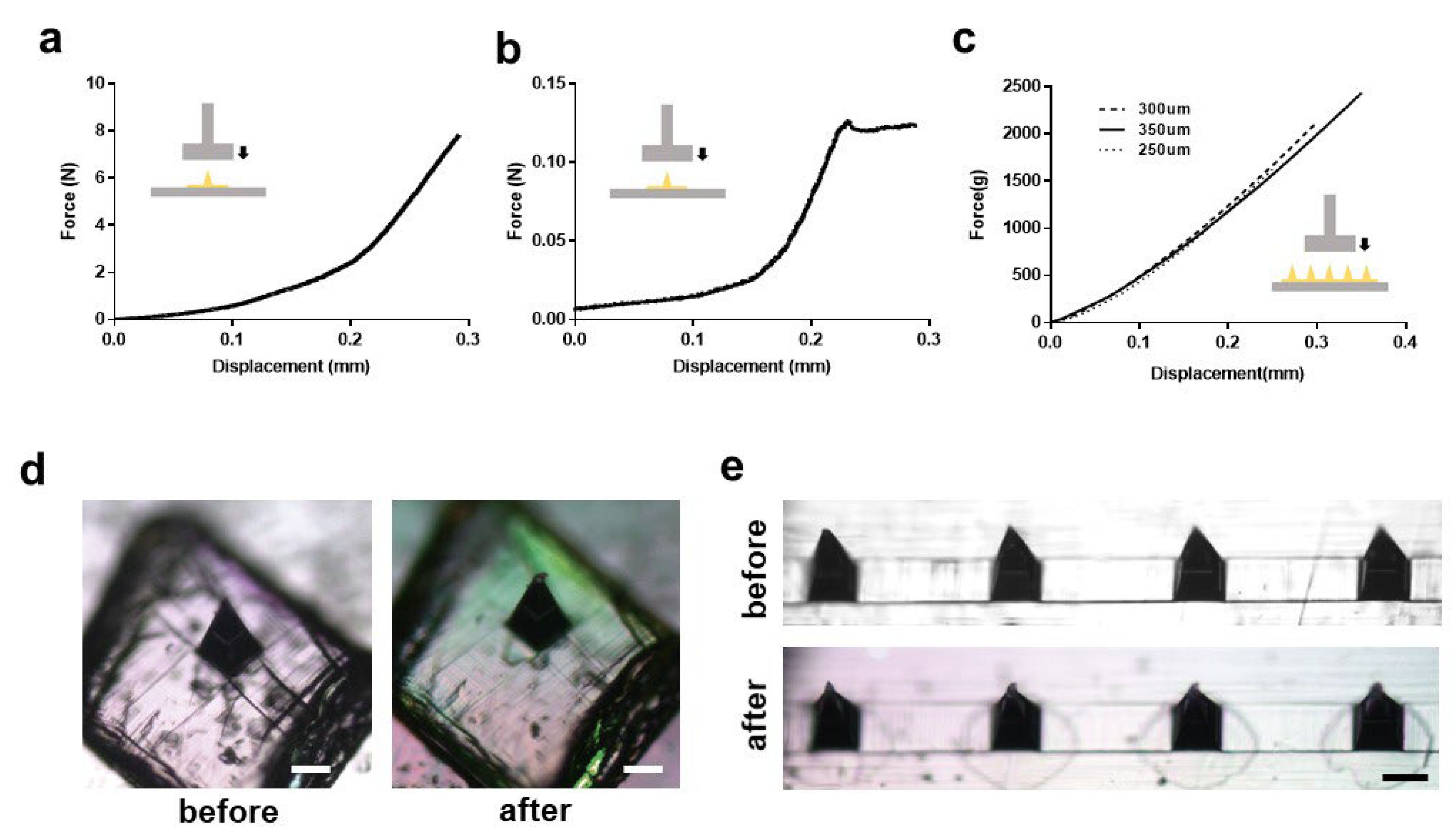 Pharmaceutics 14 01758 g002