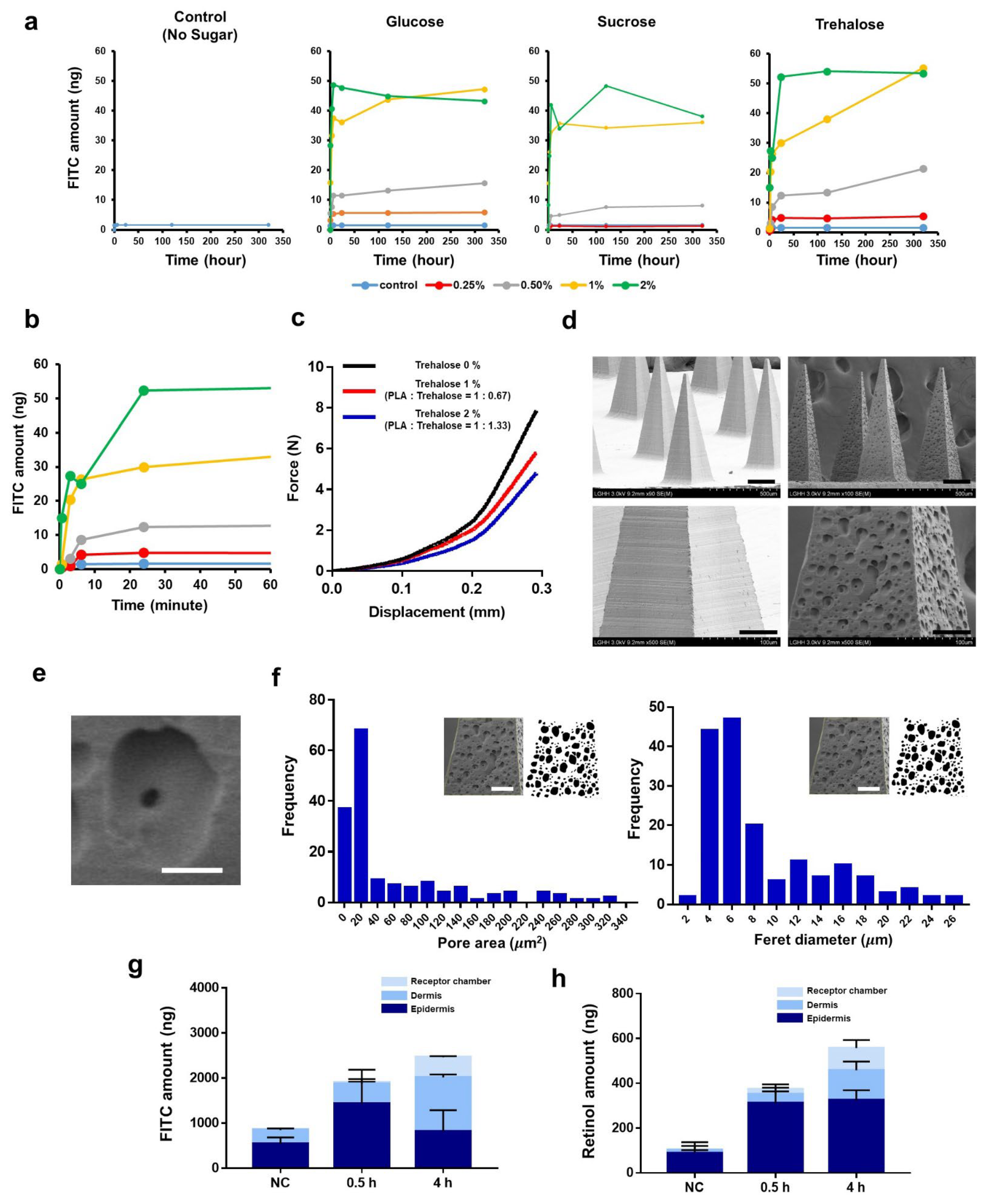 Pharmaceutics 14 01758 g004