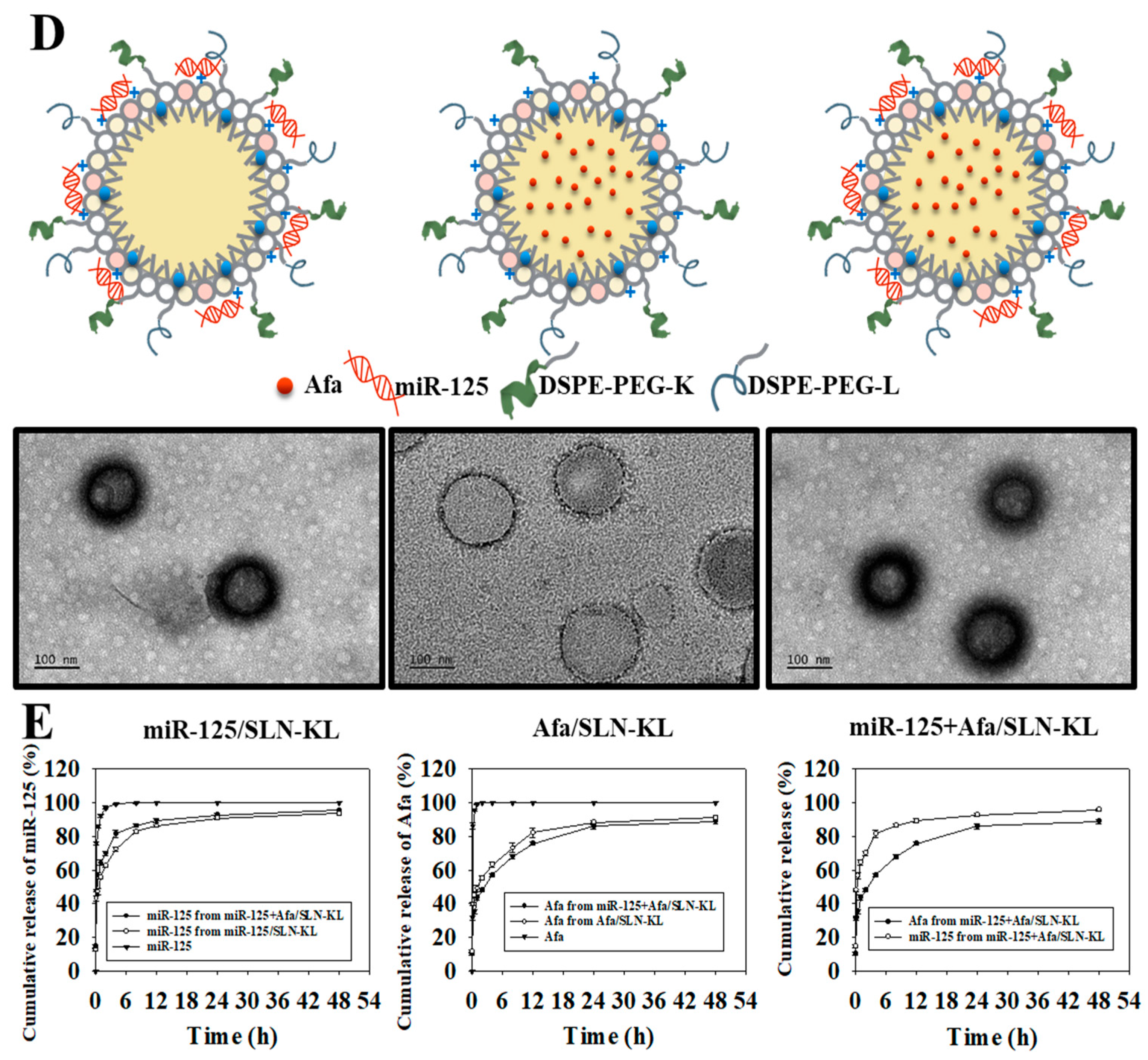 Pharmaceutics 14 01759 g001c 550