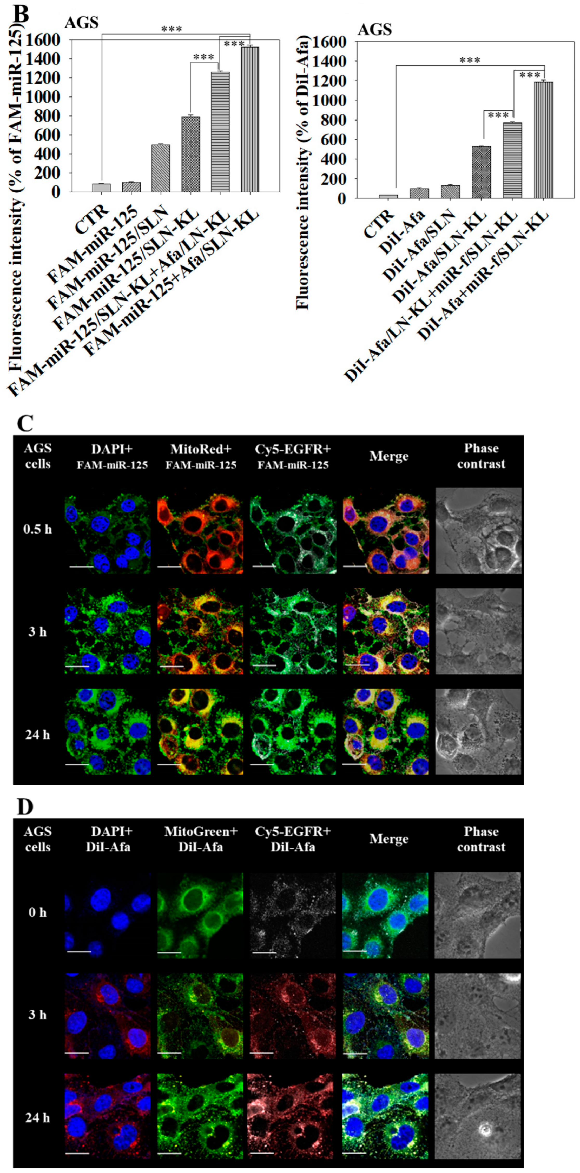 Pharmaceutics 14 01759 g002b 550
