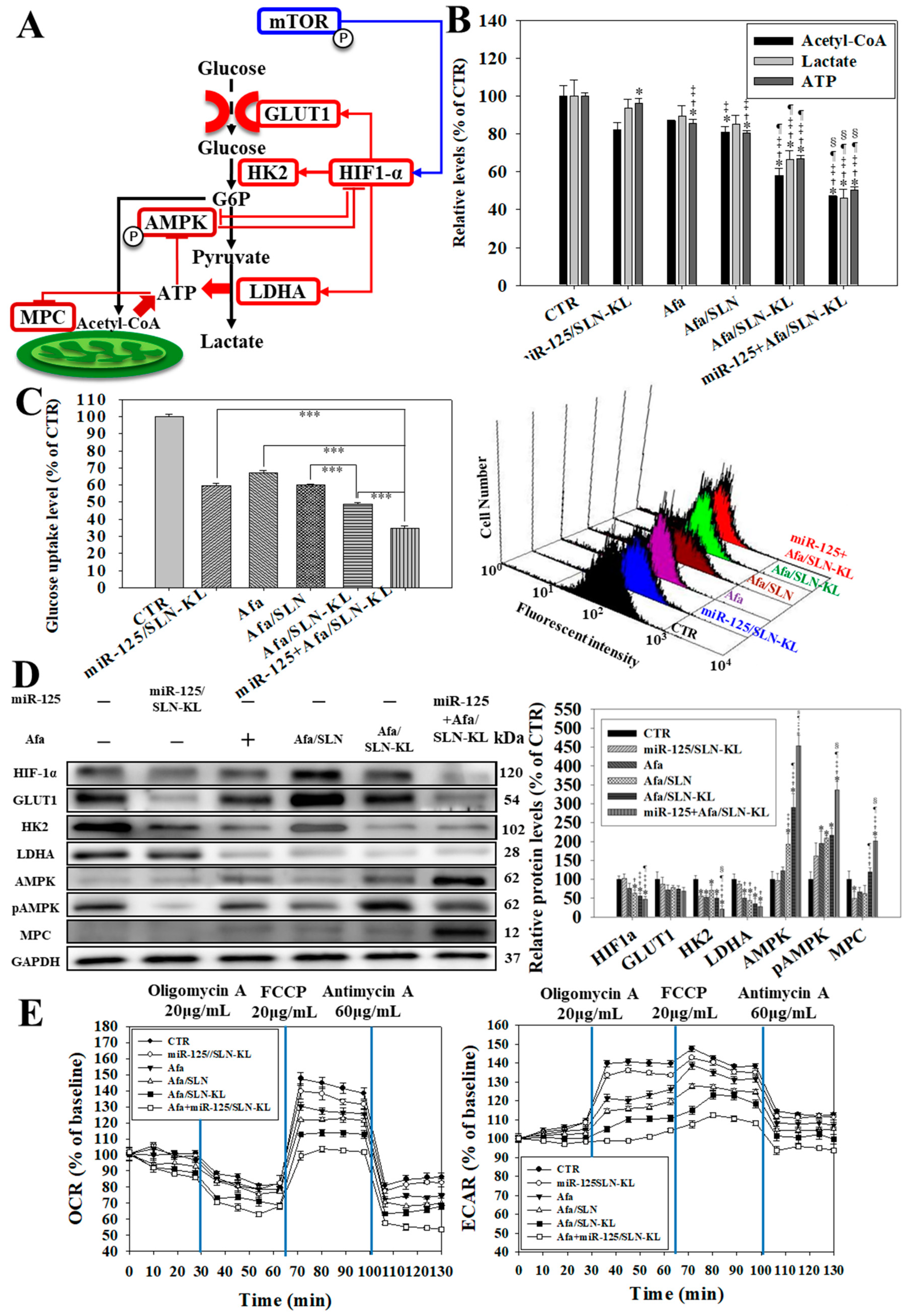 Pharmaceutics 14 01759 g004 550