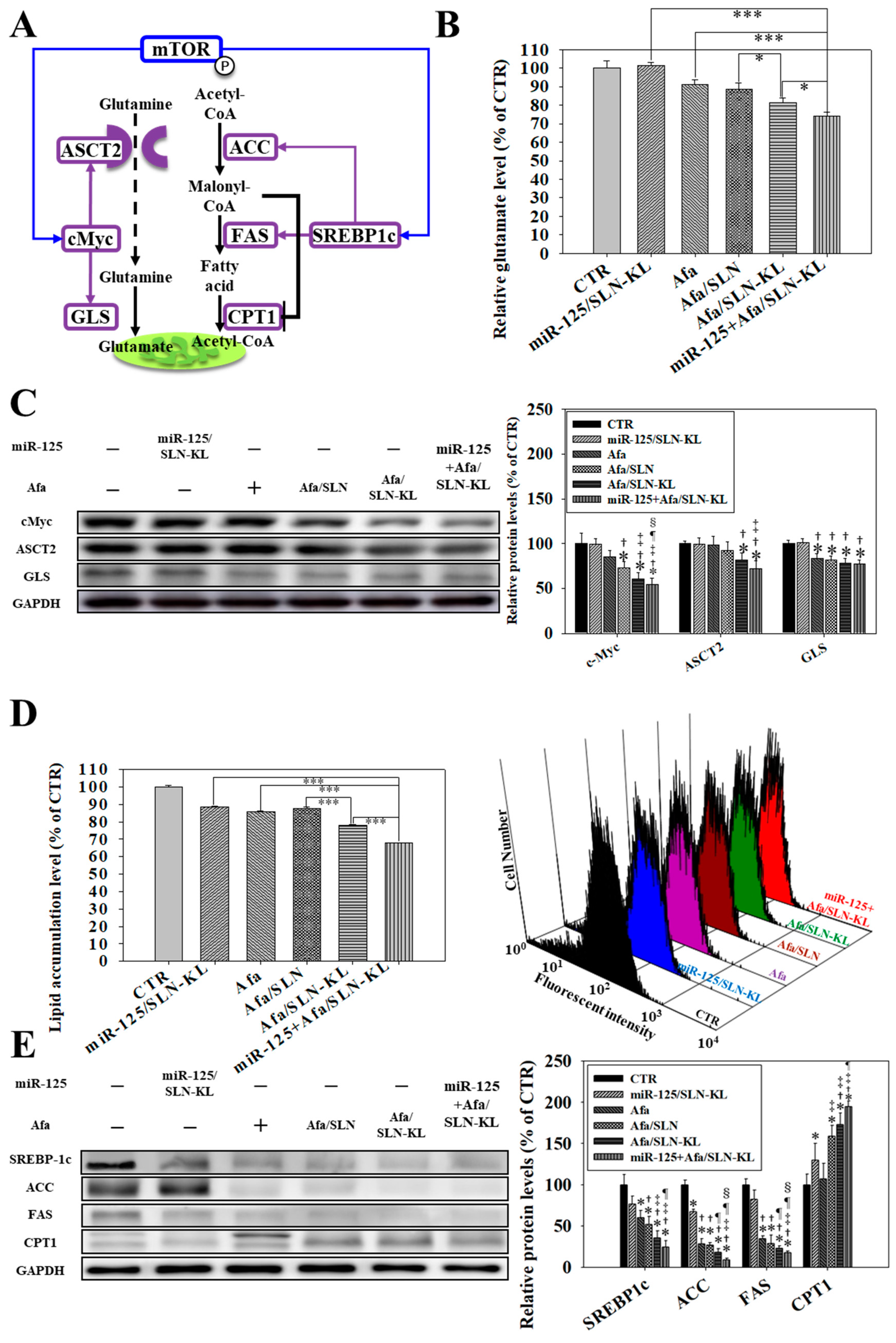 Pharmaceutics 14 01759 g005 550