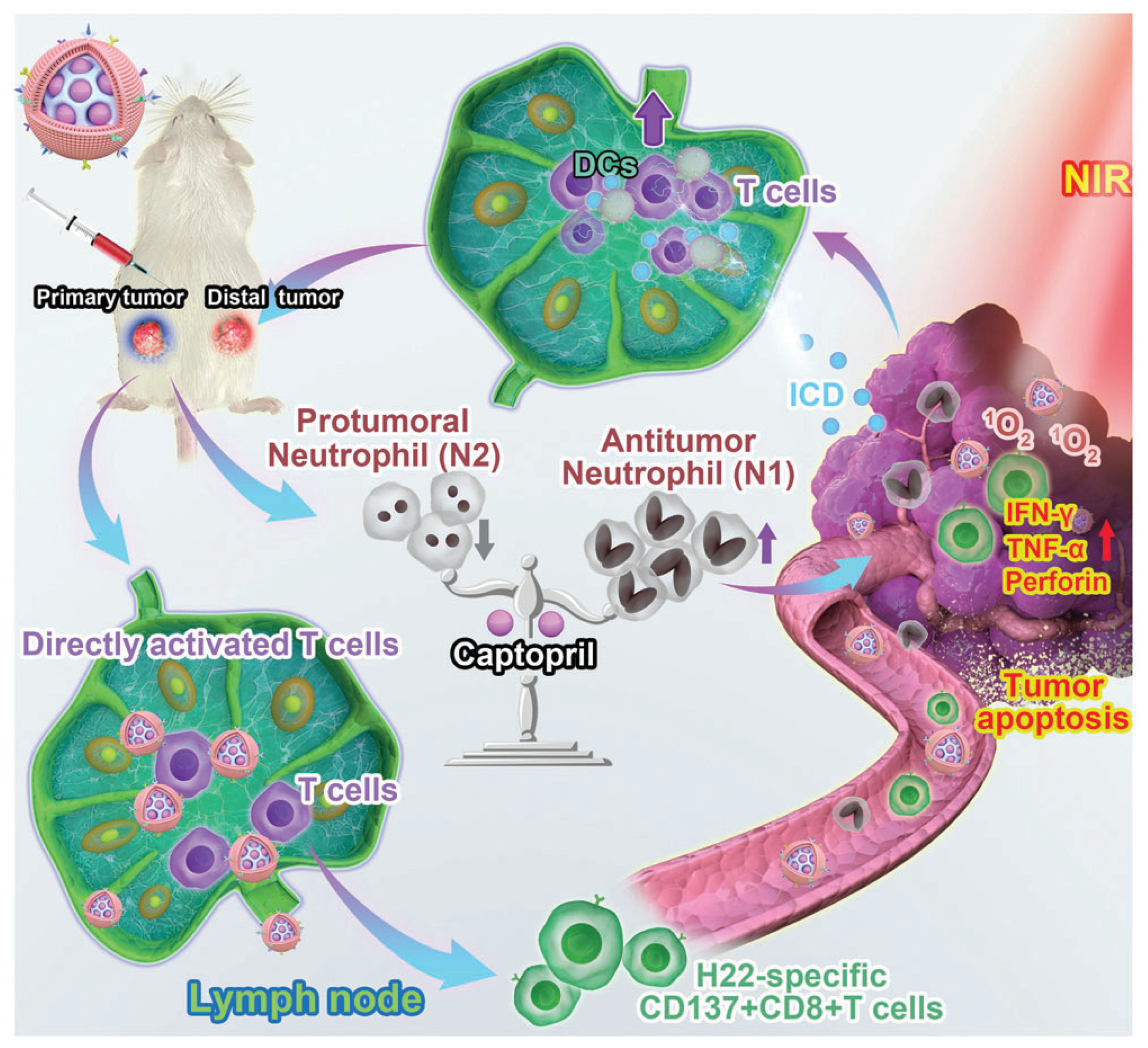 Pharmaceutics 14 01760 g002 550