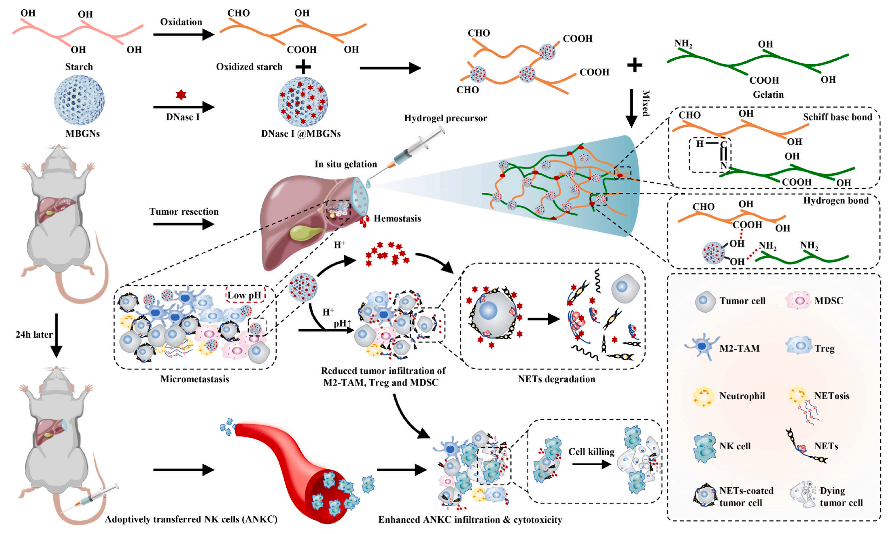 Pharmaceutics 14 01760 g003 550
