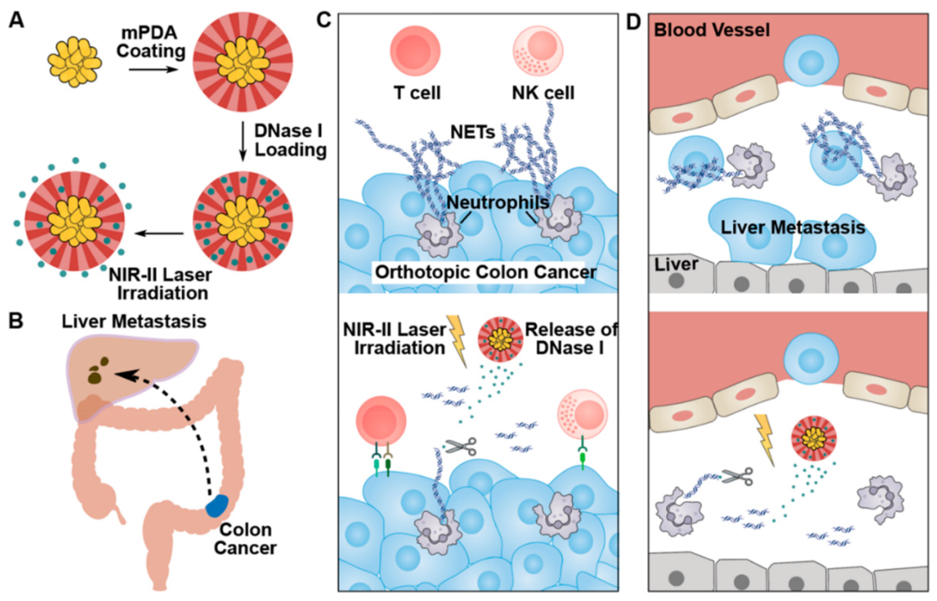 Pharmaceutics 14 01760 g004 550
