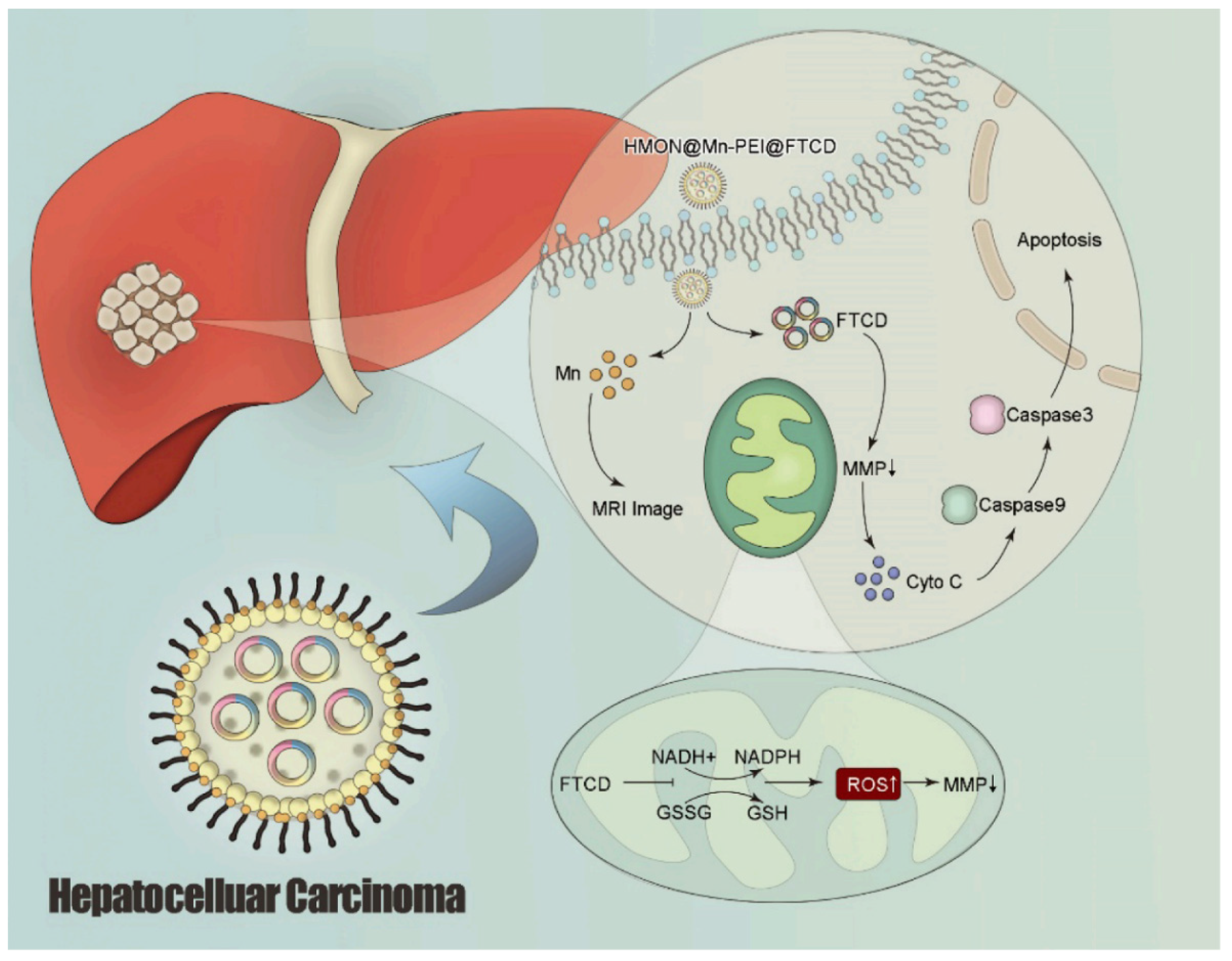 Pharmaceutics 14 01760 g005 550